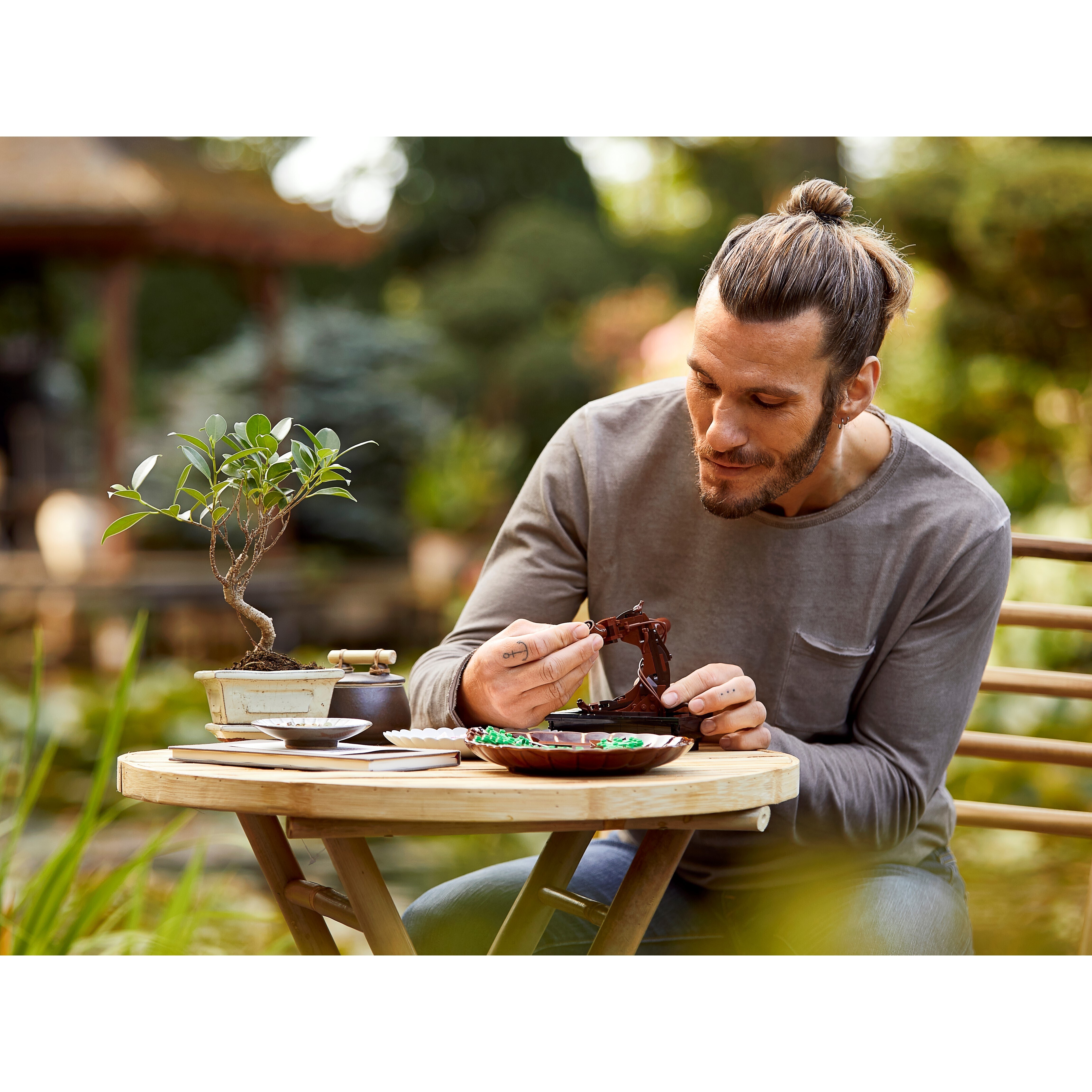 Bonsai Tree - Image 13