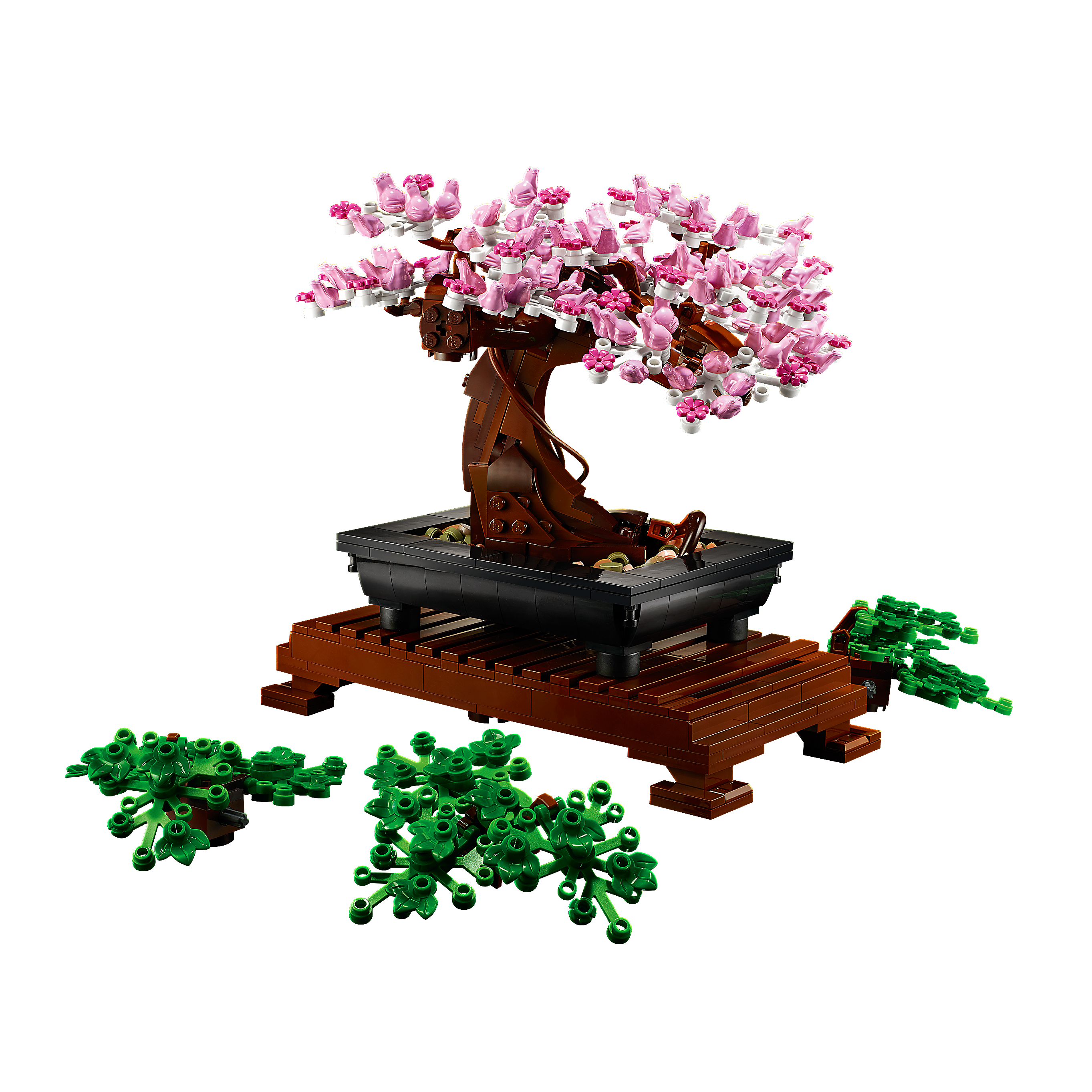 Bonsai Tree - Image 7