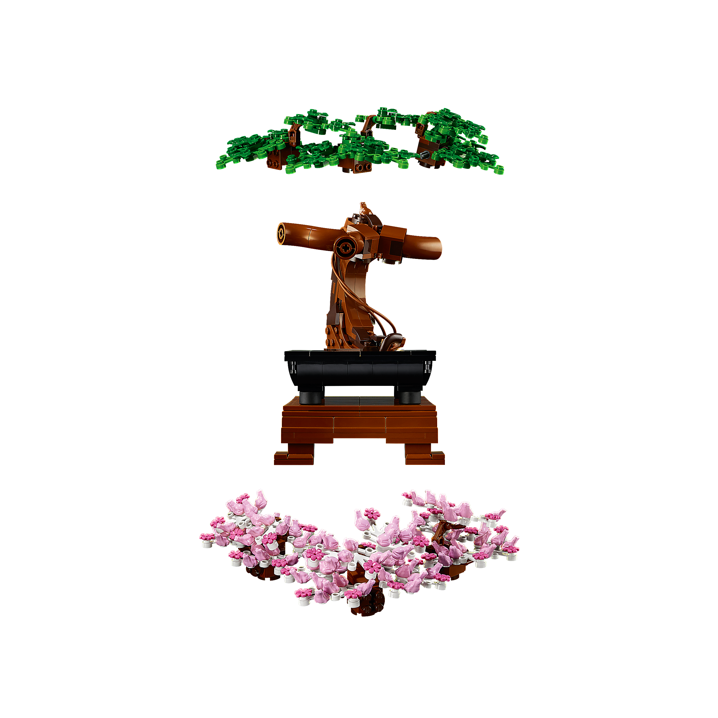 Bonsai Tree - Image 8