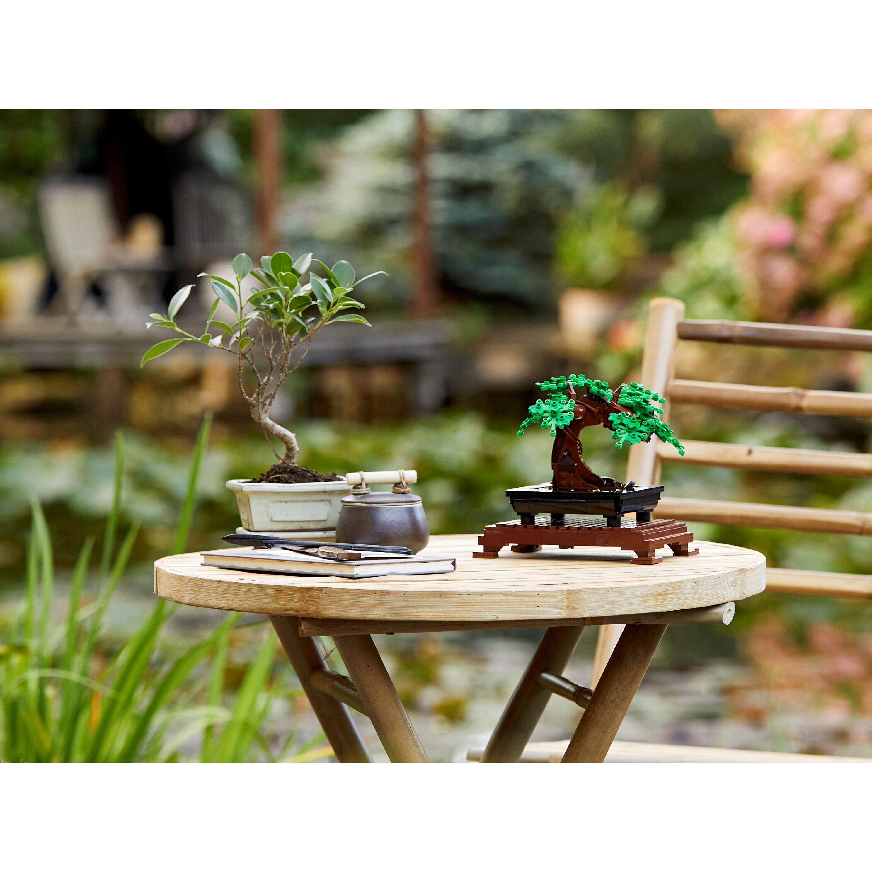 Bonsai Tree - Image 3