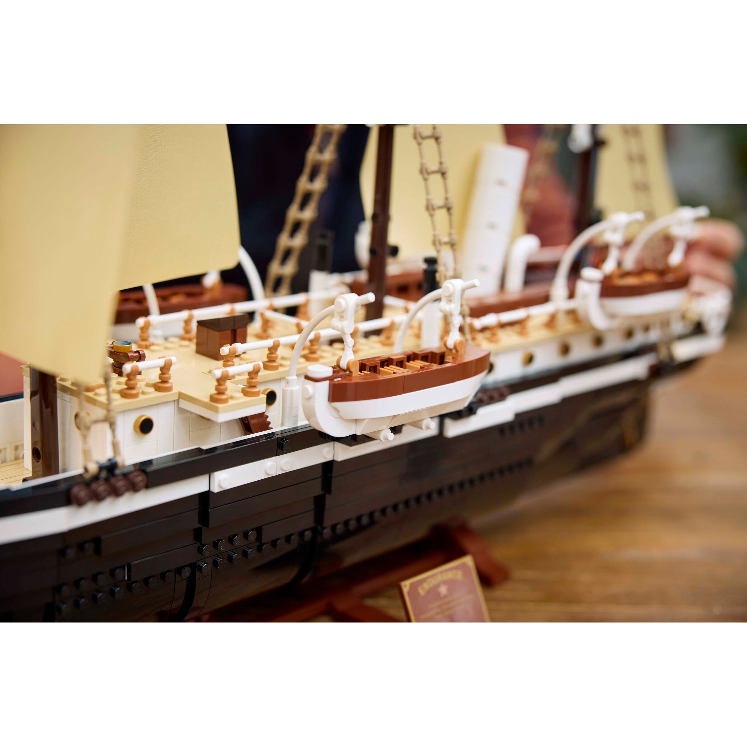 The Endurance - Image 14