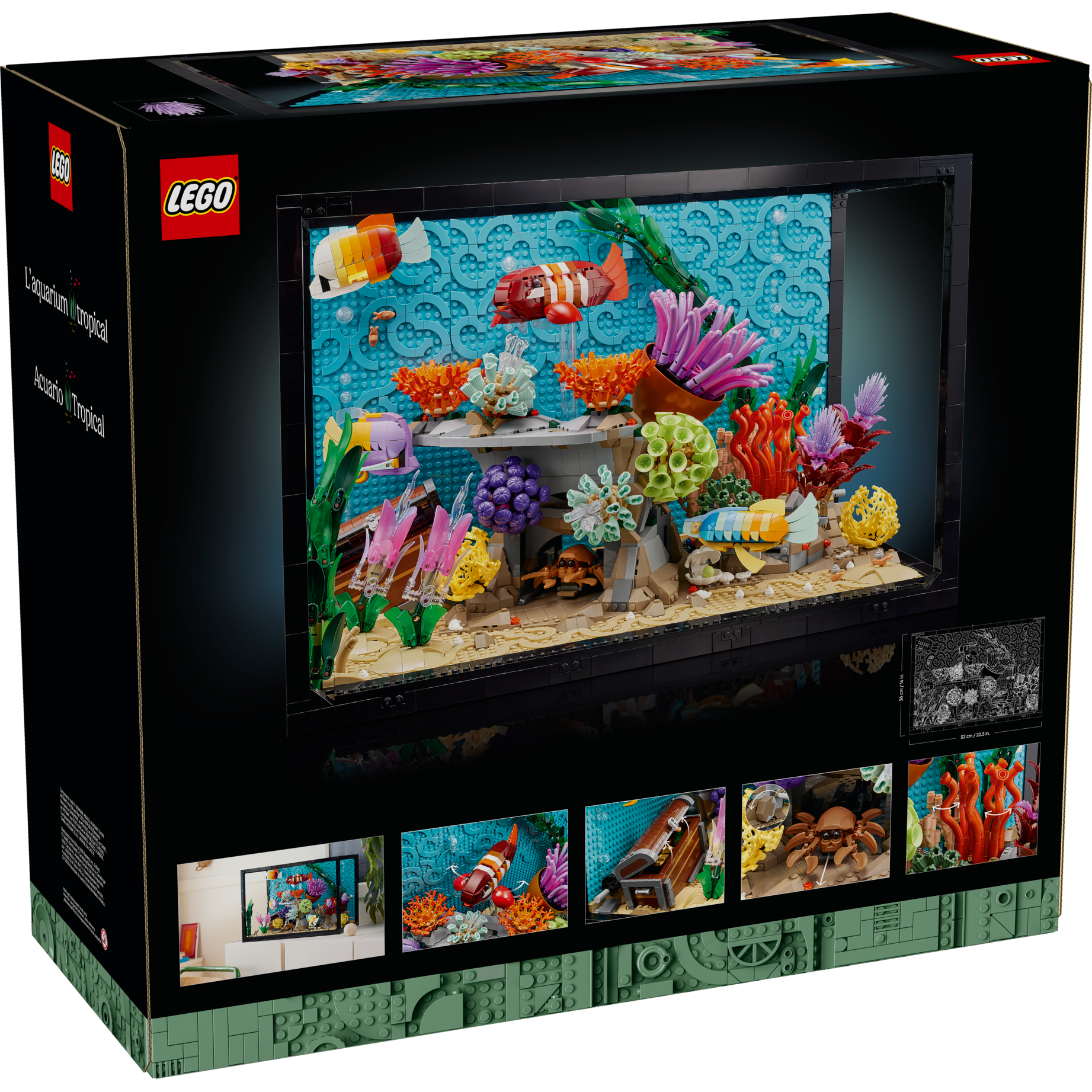 Tropical Aquarium - Image 18