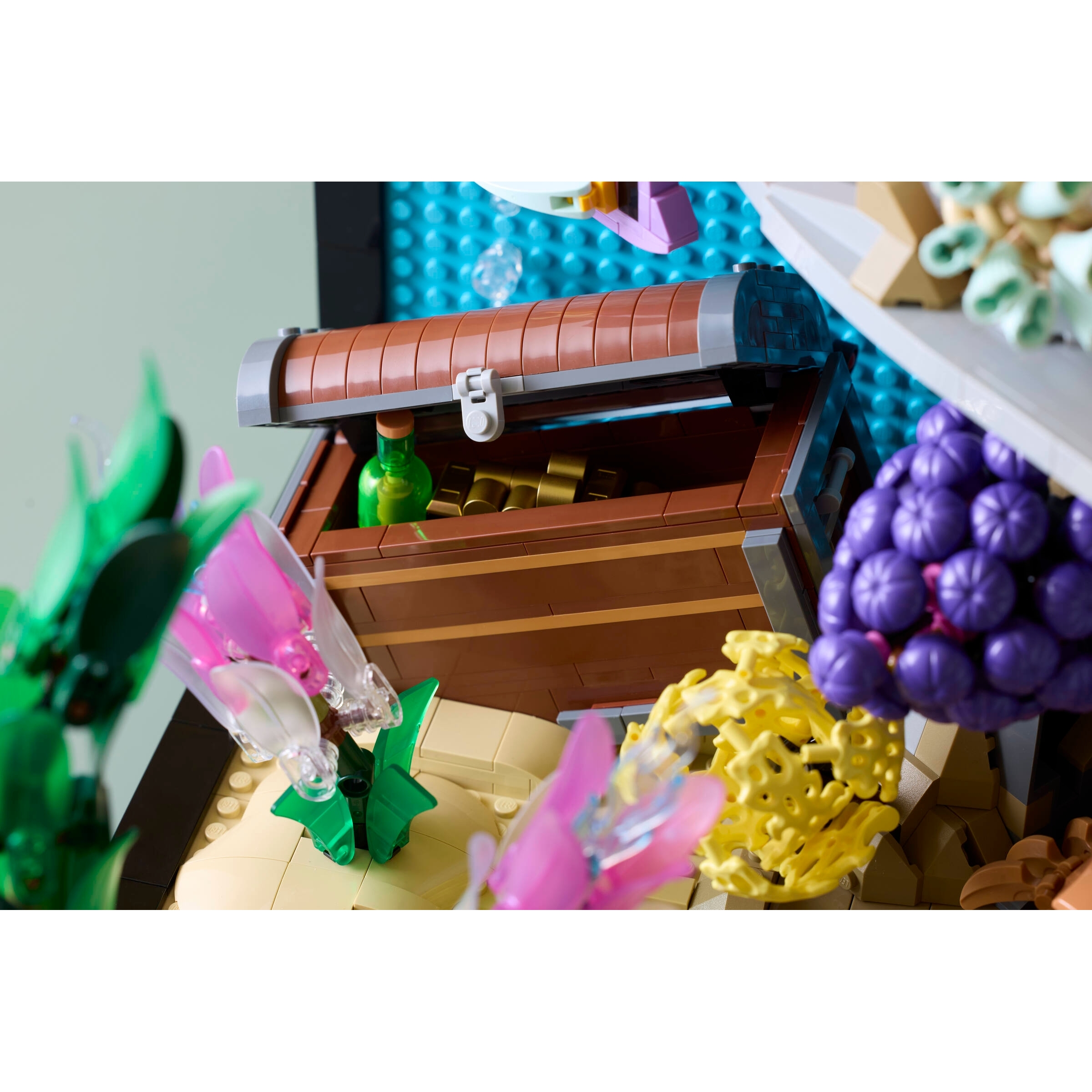 Tropical Aquarium - Image 14