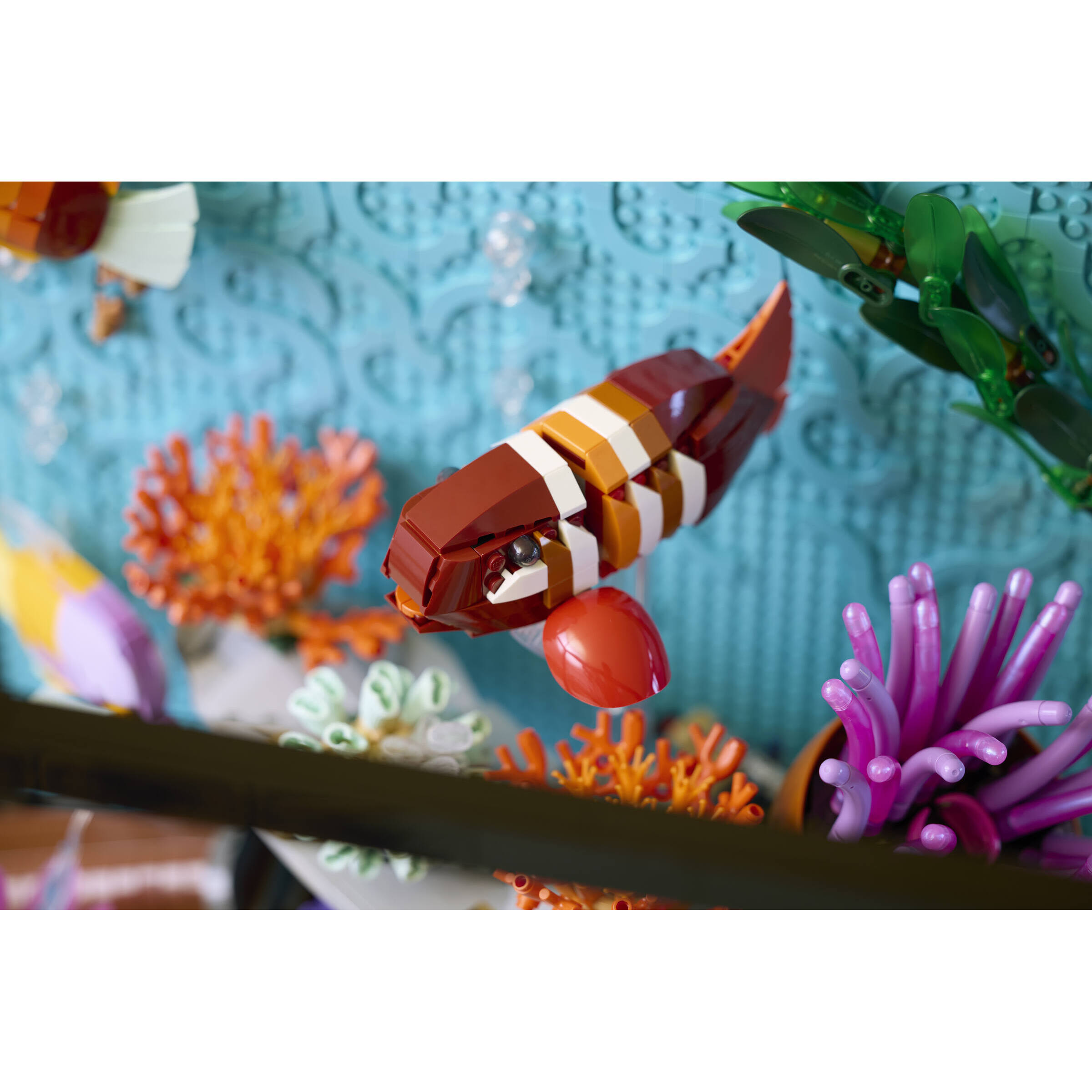 Tropical Aquarium - Image 13