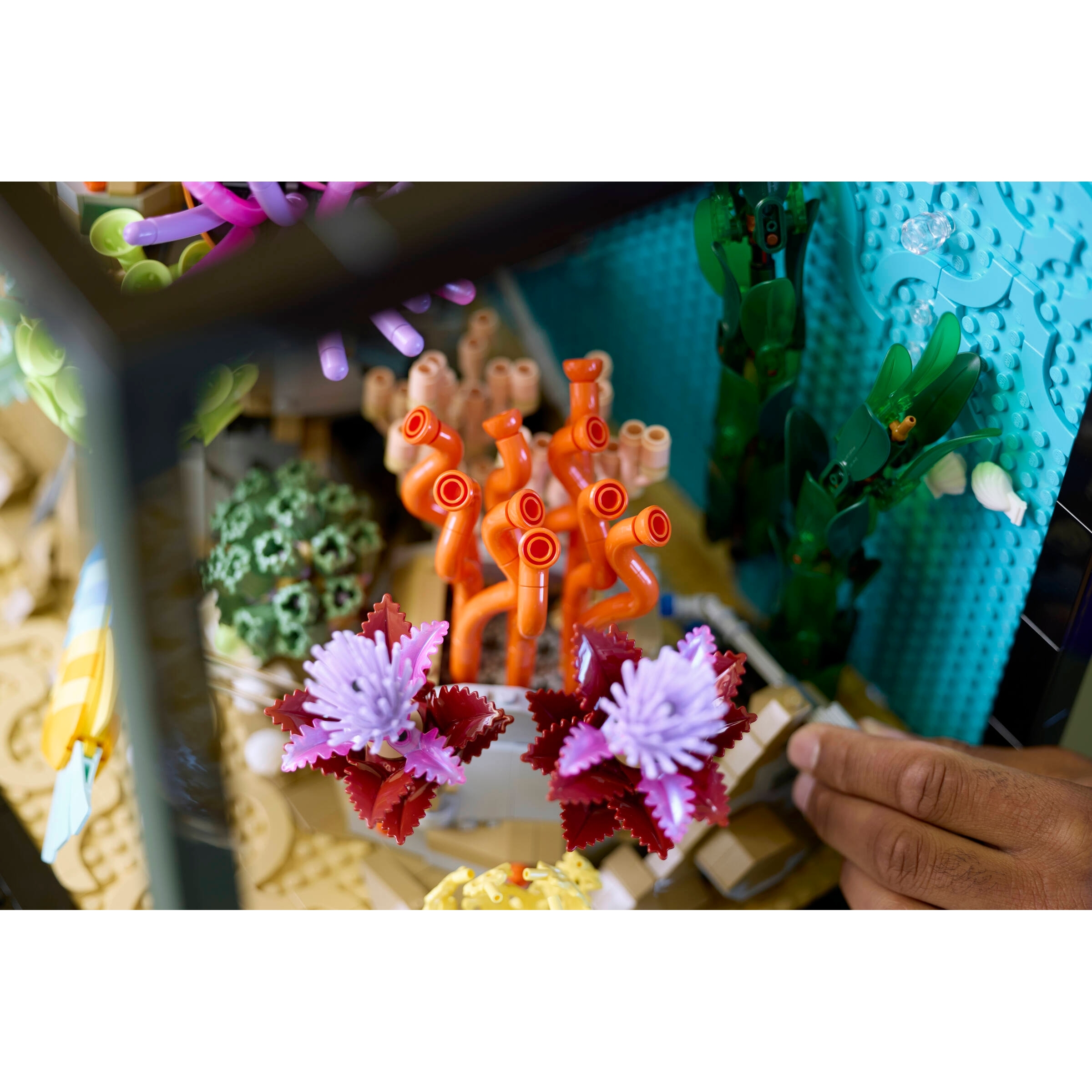 Tropical Aquarium - Image 12