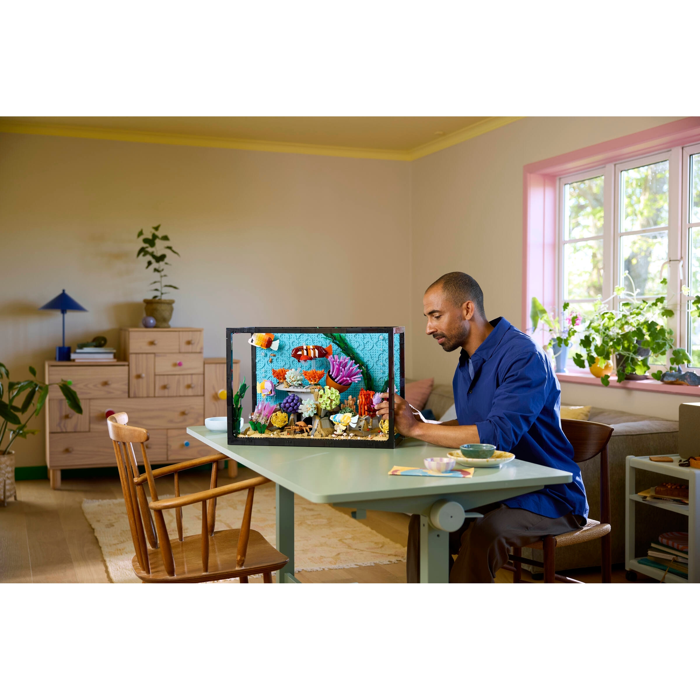 Tropical Aquarium - Image 15