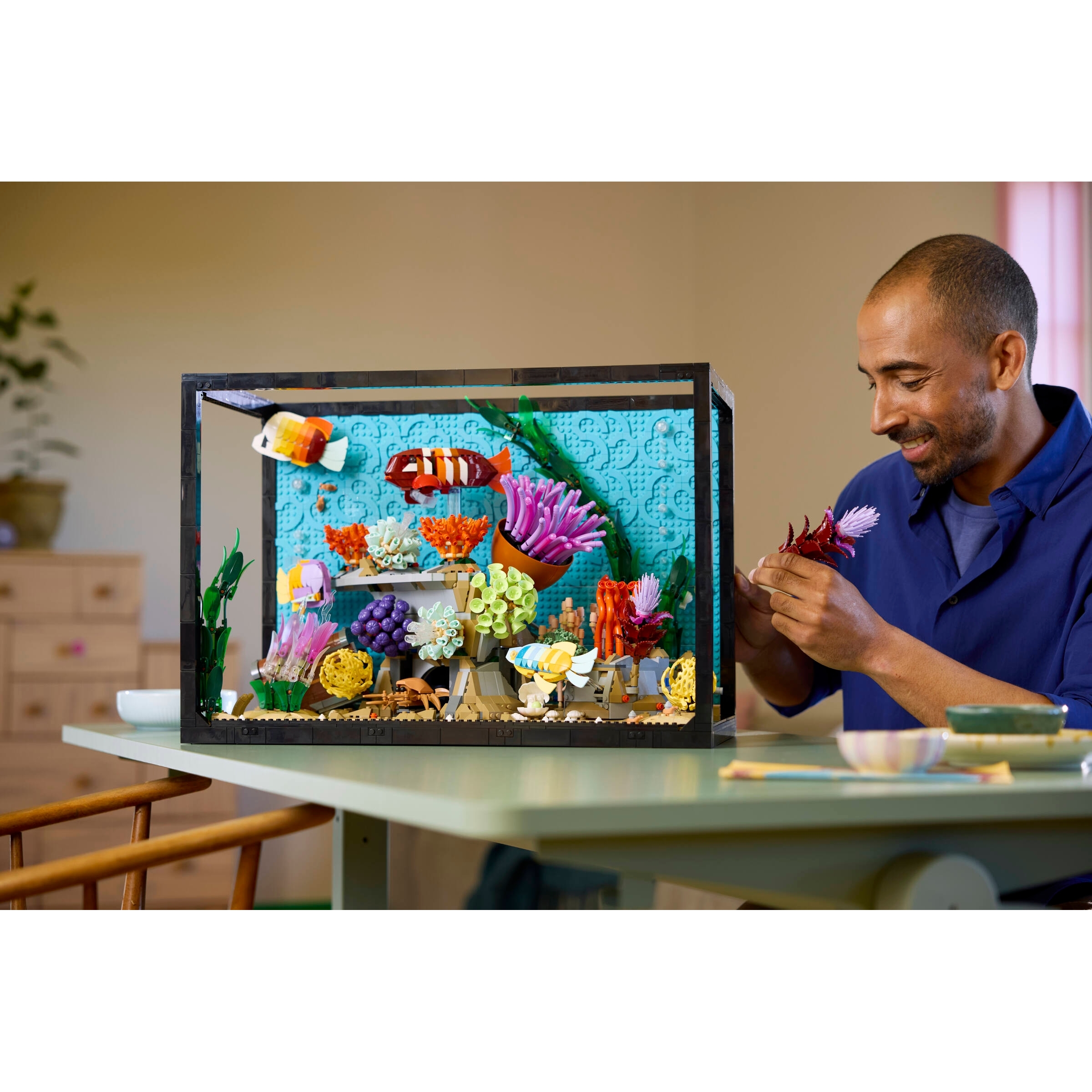 Tropical Aquarium - Image 10