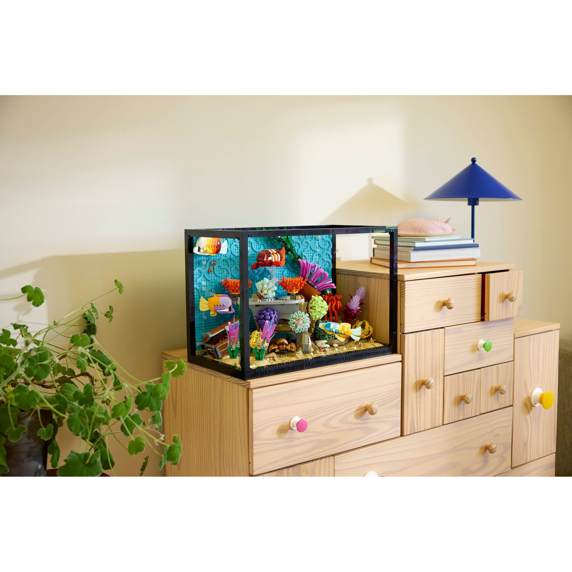 Tropical Aquarium - Image 11