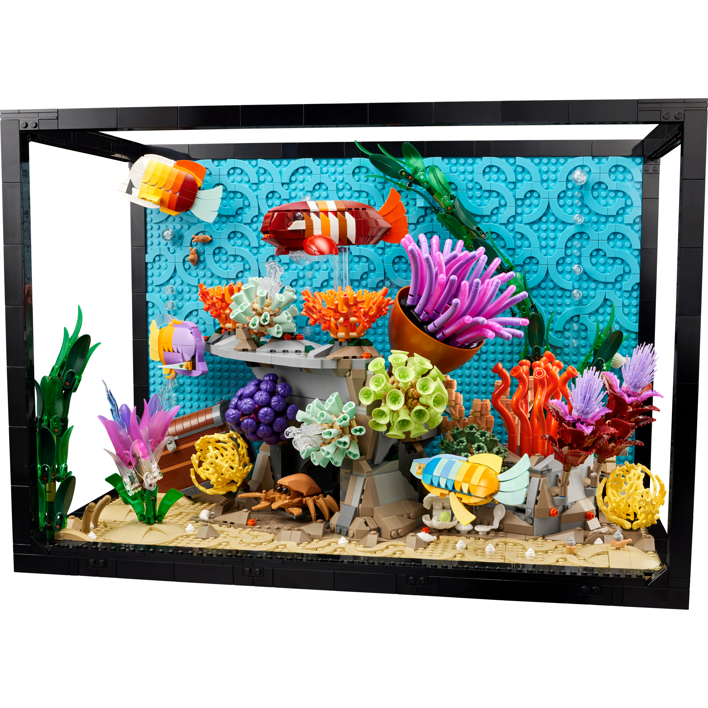 Tropical Aquarium