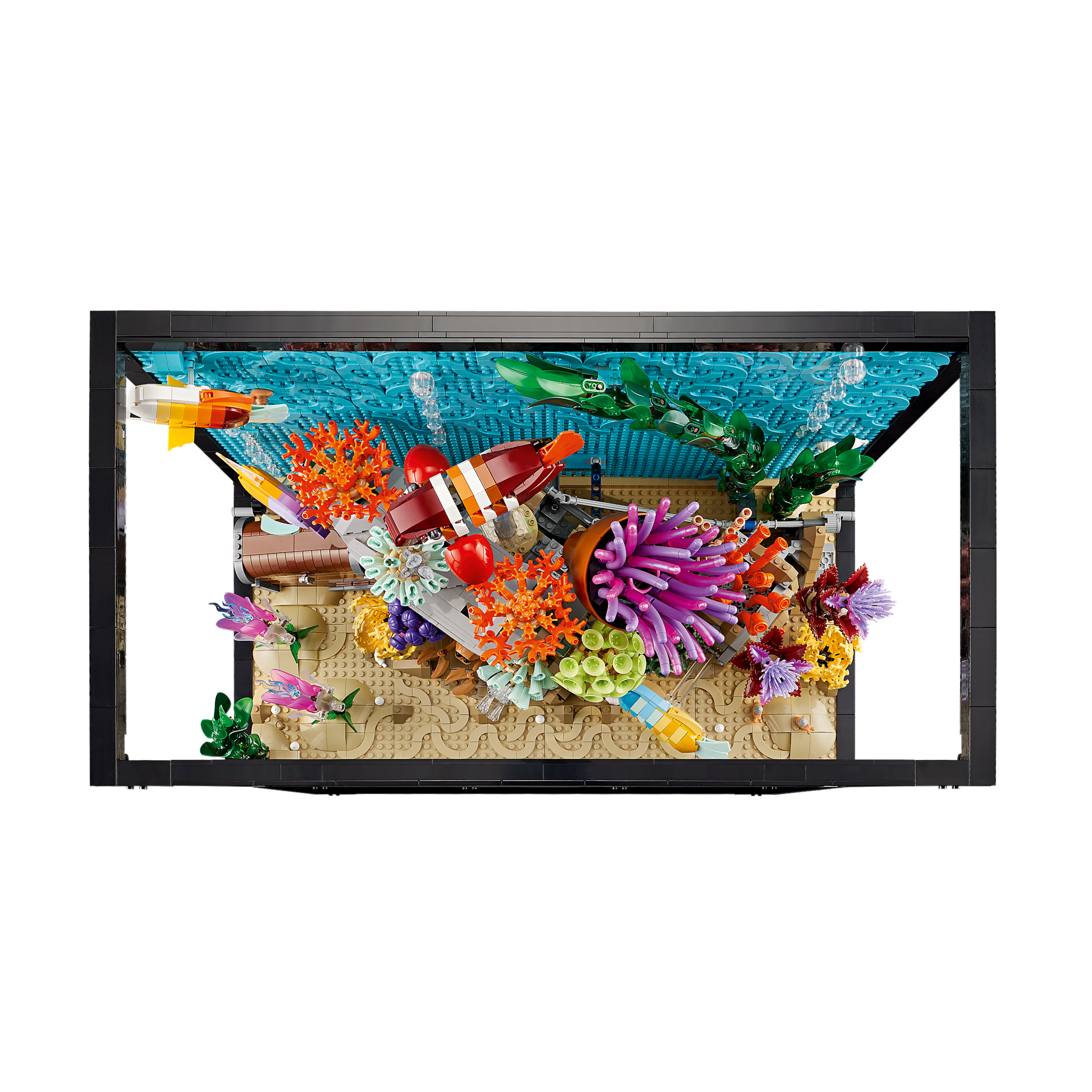 Tropical Aquarium - Image 3