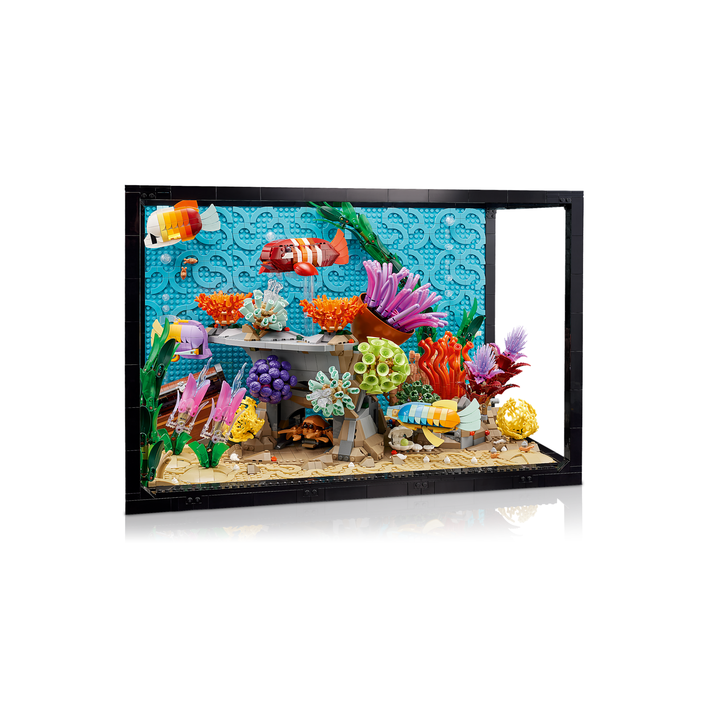 Tropical Aquarium - Image 5