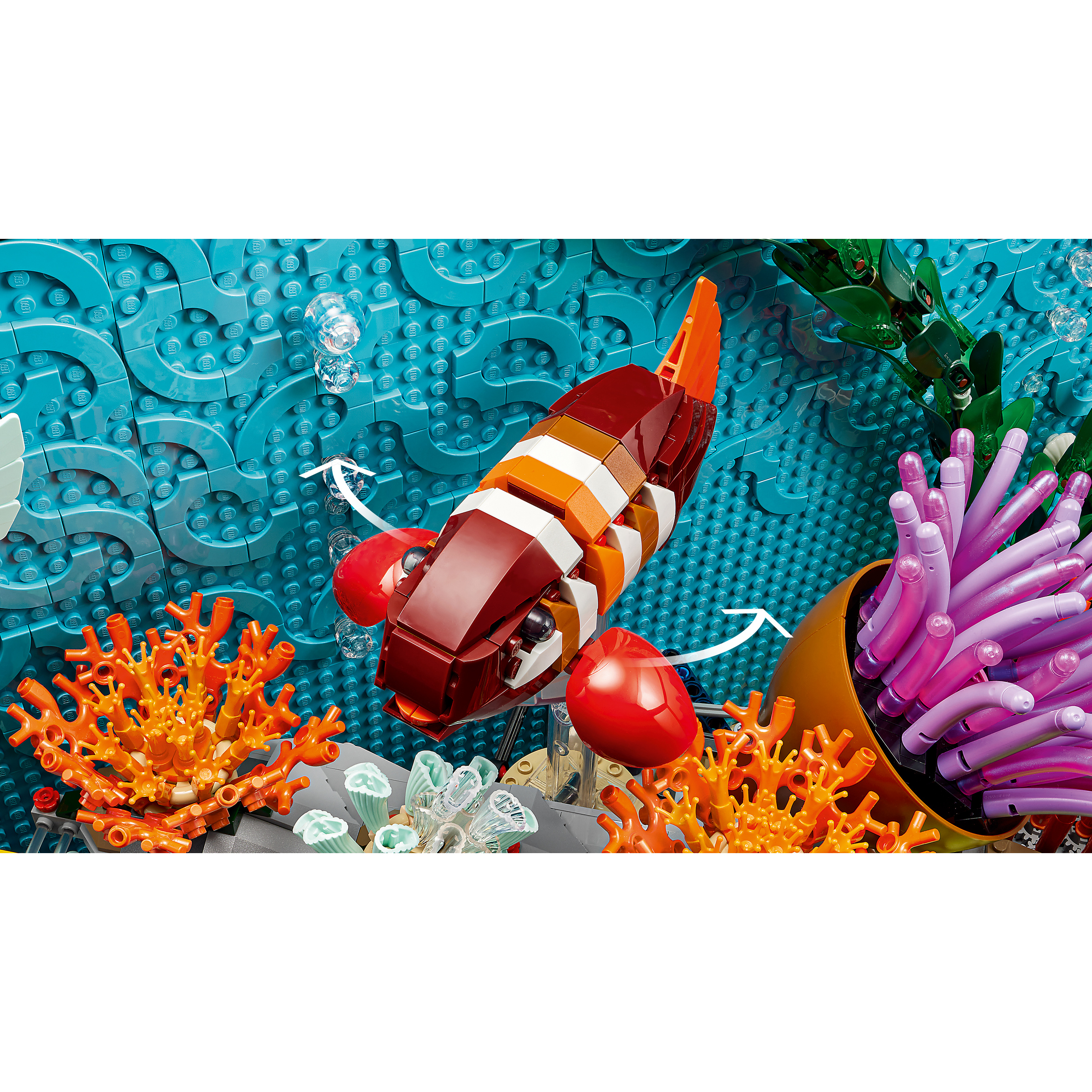 Tropical Aquarium - Image 7