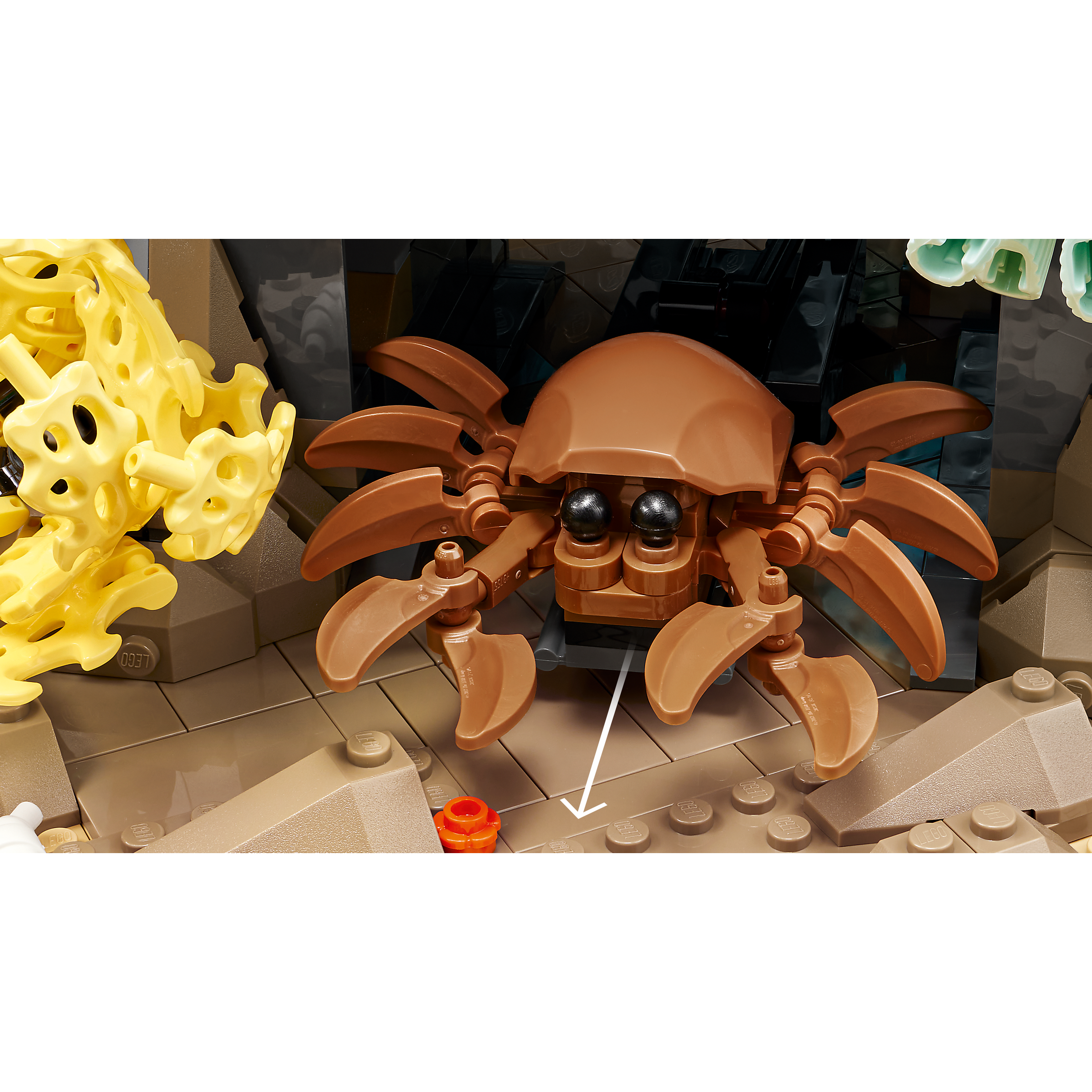 Tropical Aquarium - Image 8