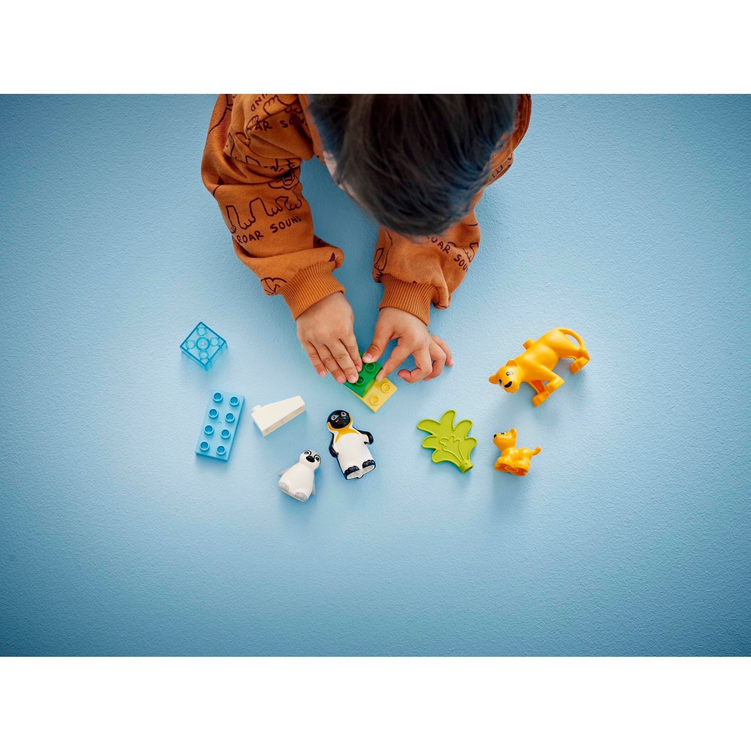 Wild Animal Families: Penguins & Lions - Image 7