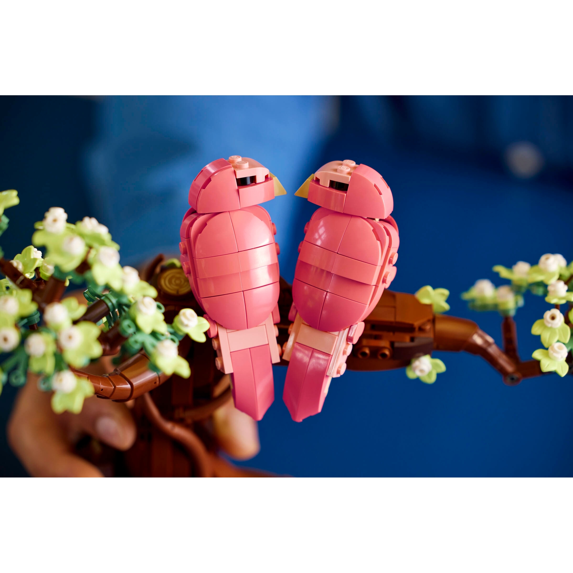 Love Birds - Image 11