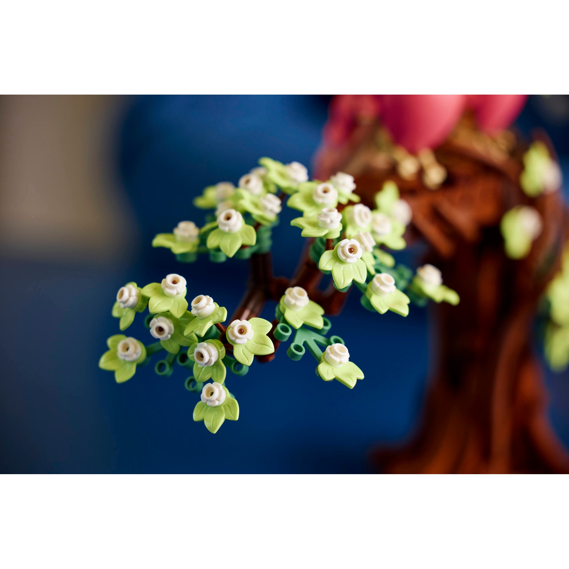 Love Birds - Image 12