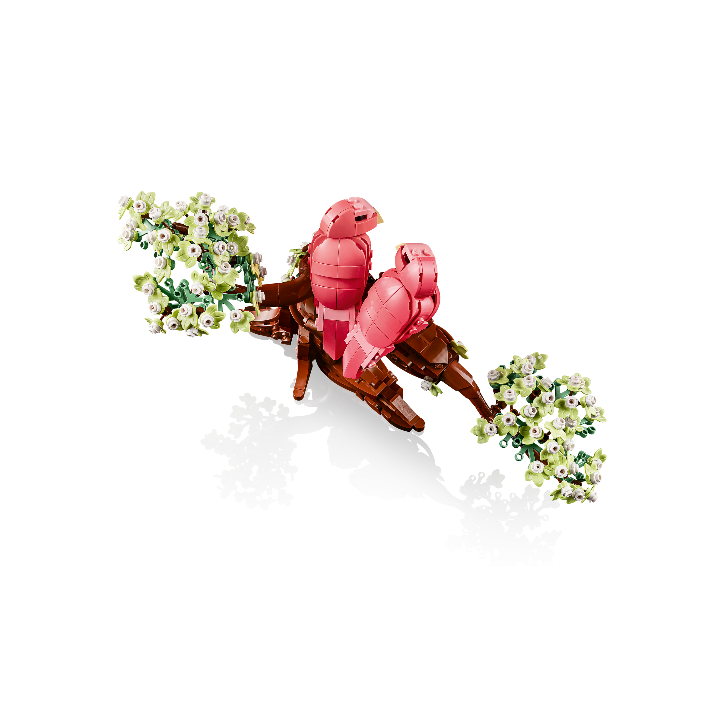 Love Birds - Image 5