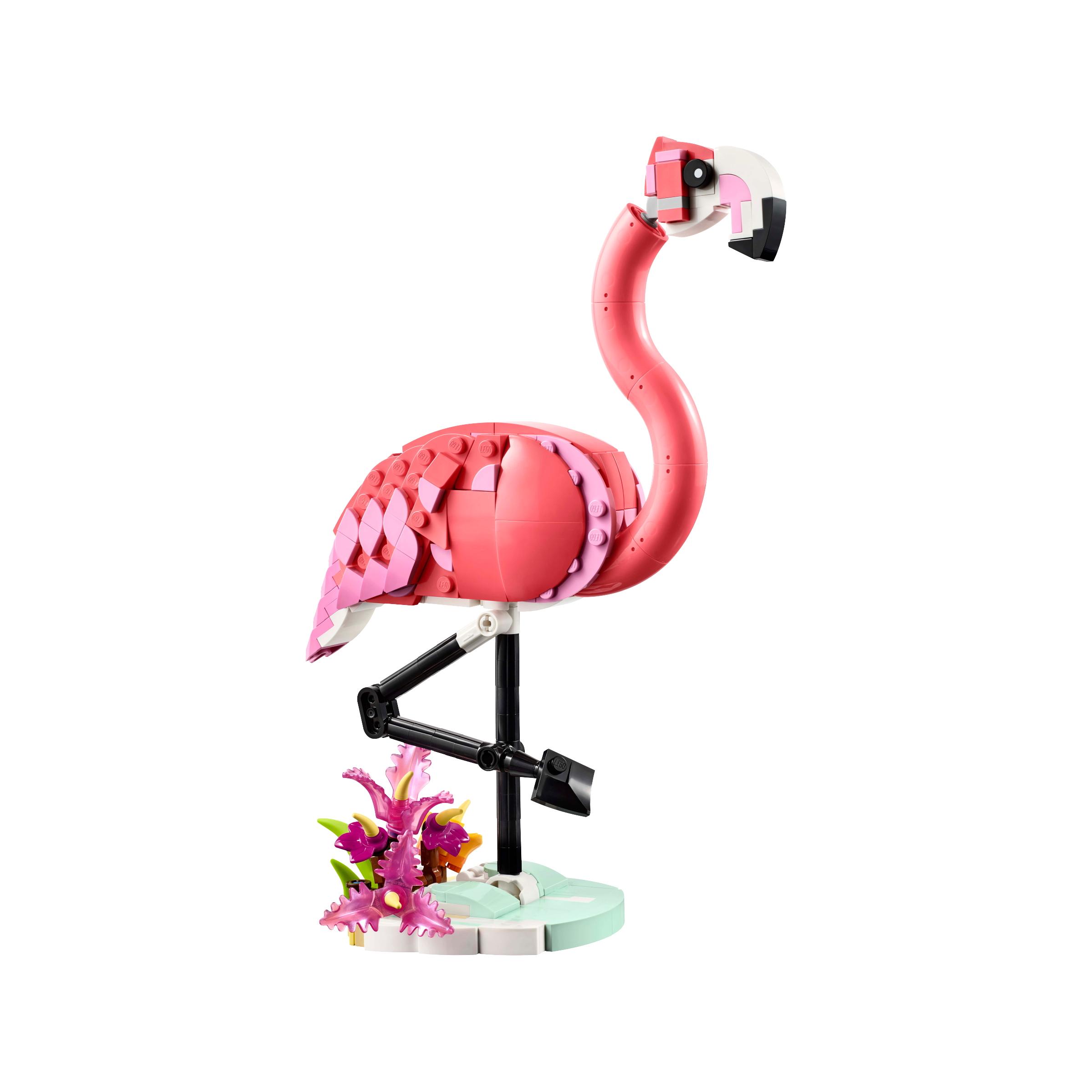 Wild Animals: Pink Flamingo