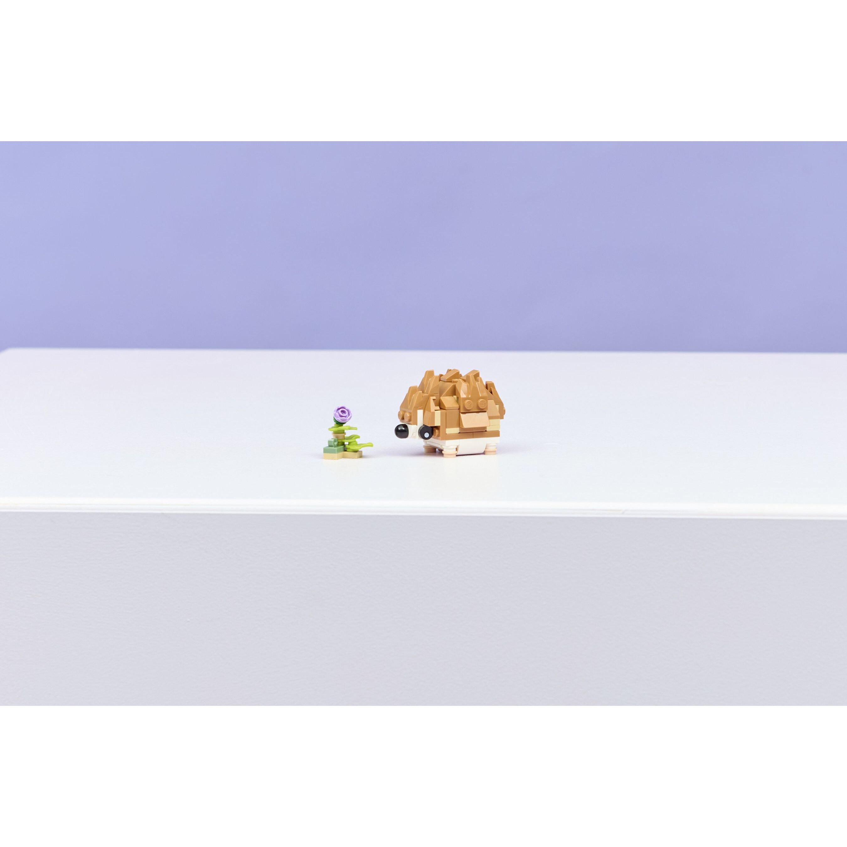 Cute Hamster With A Flower - Image 9