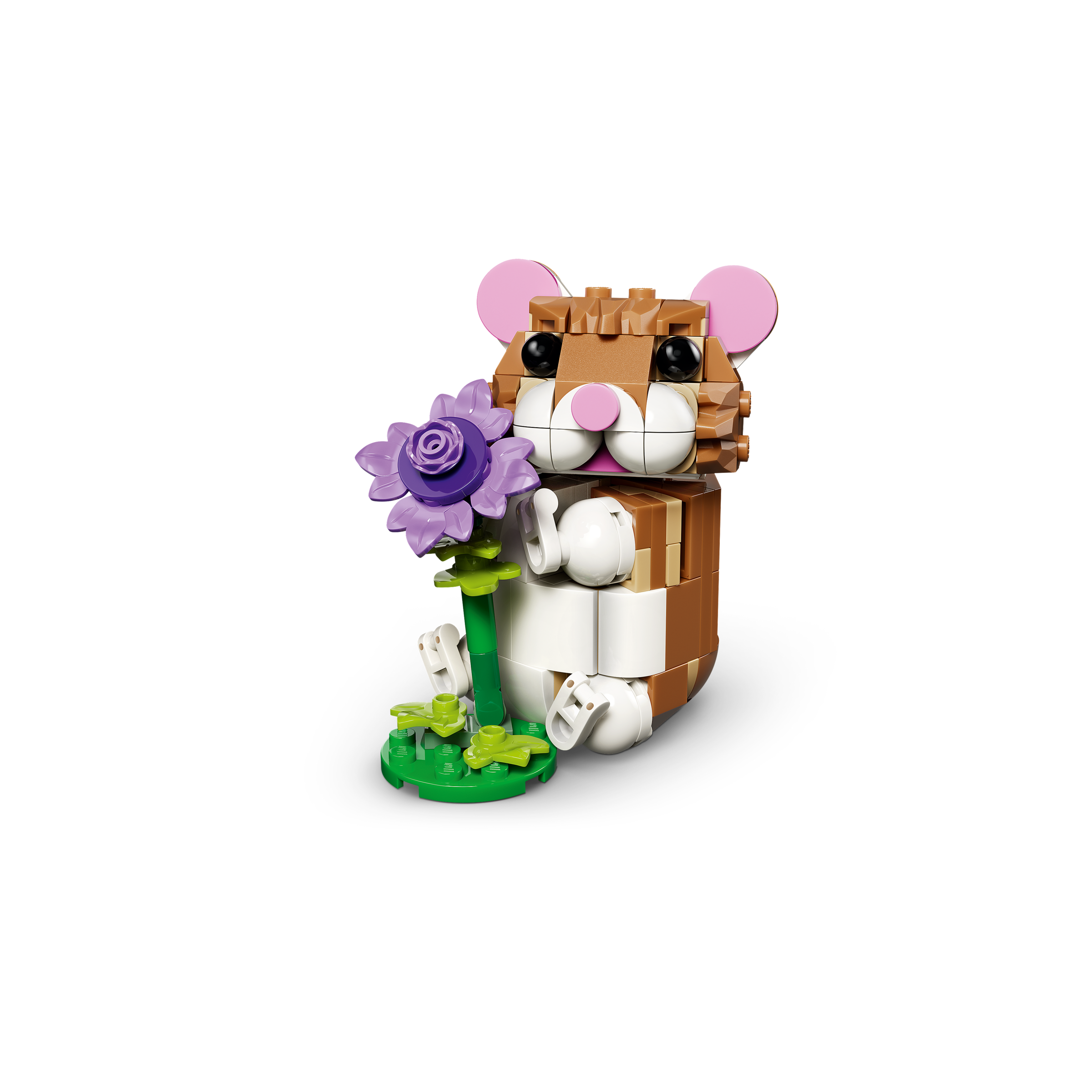 Cute Hamster With A Flower