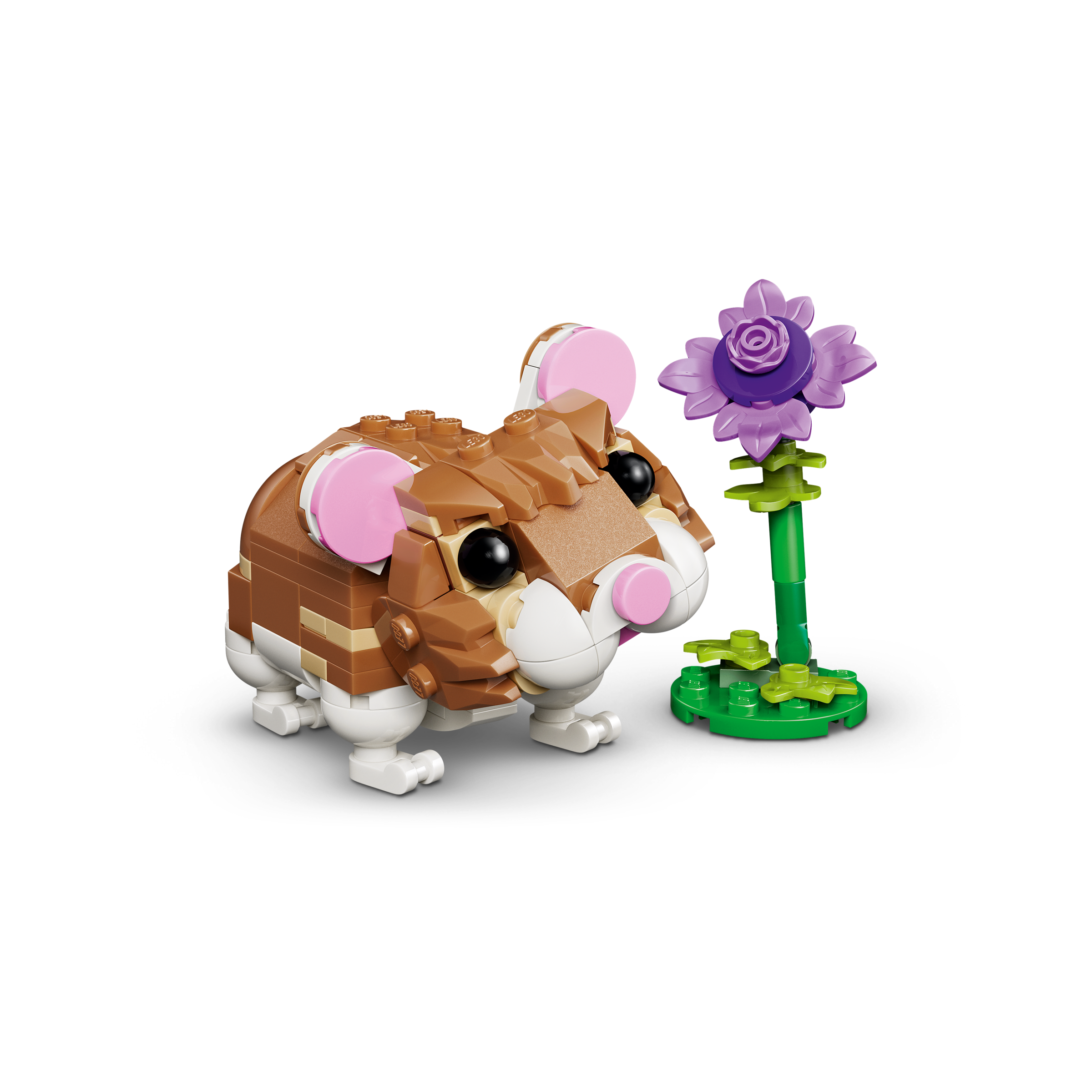 Cute Hamster With A Flower - Image 5