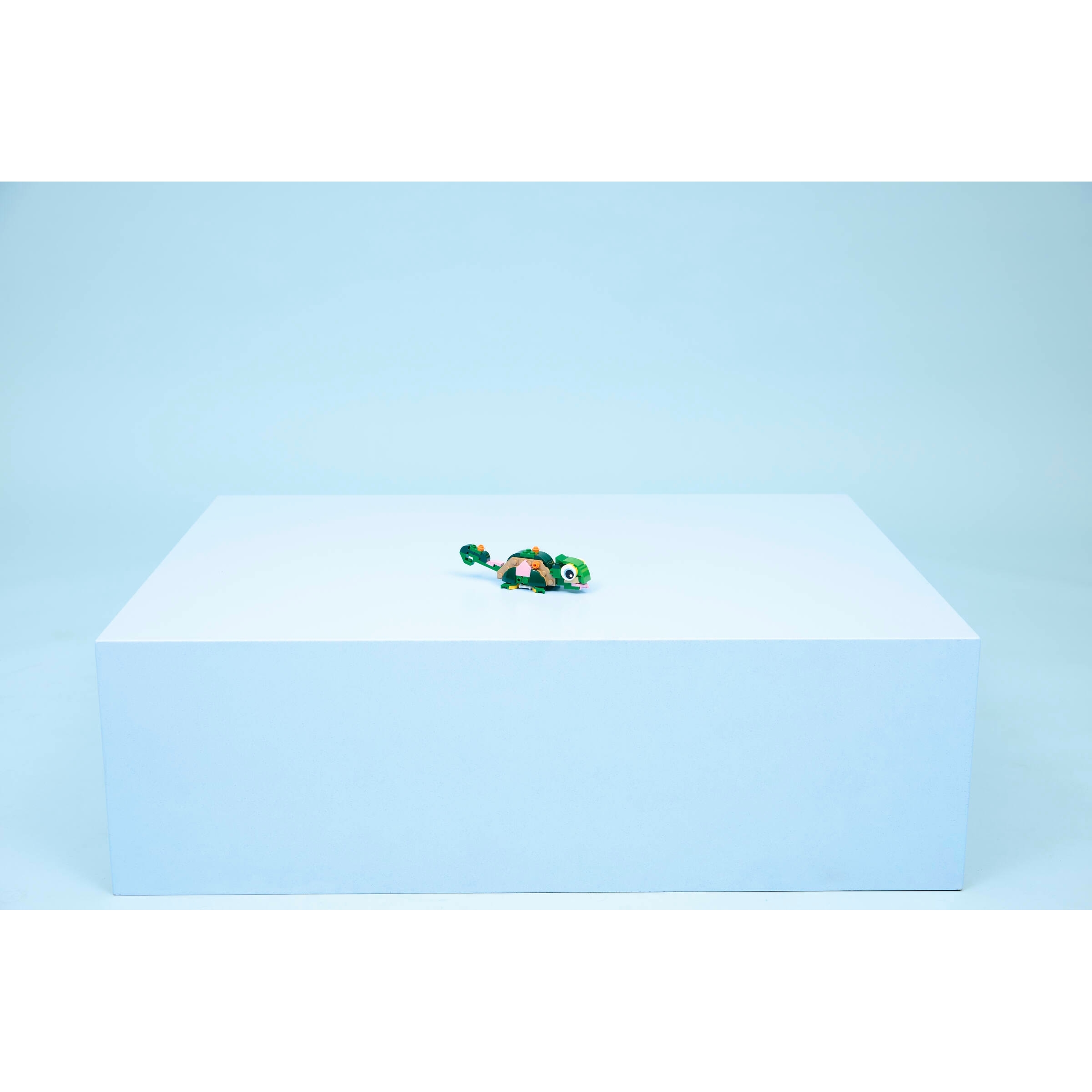 Turtle With A Water Lily Flower - Image 9