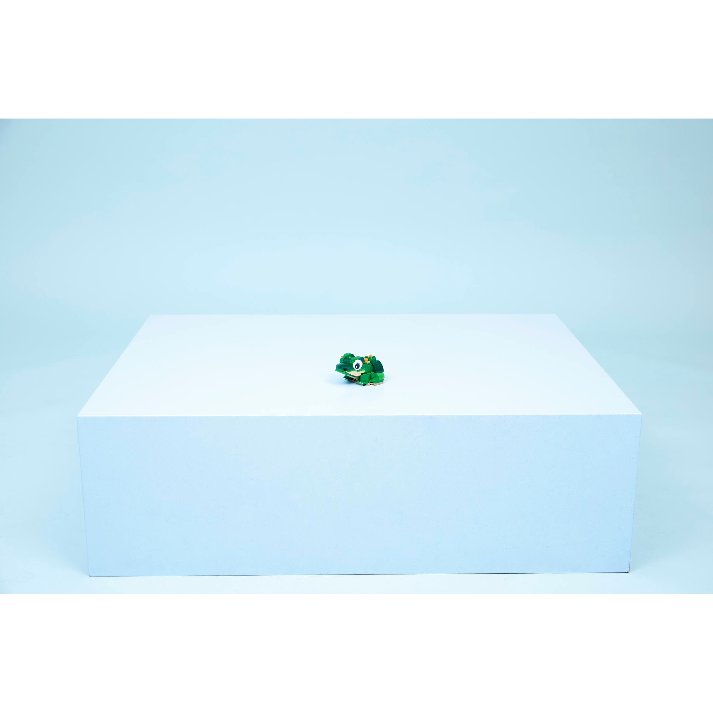 Turtle With A Water Lily Flower - Image 10