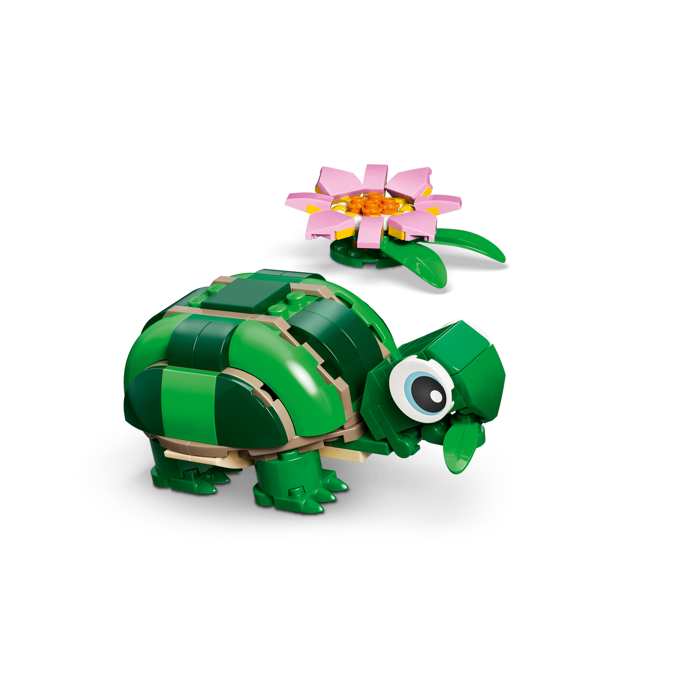 Turtle With A Water Lily Flower - Image 5