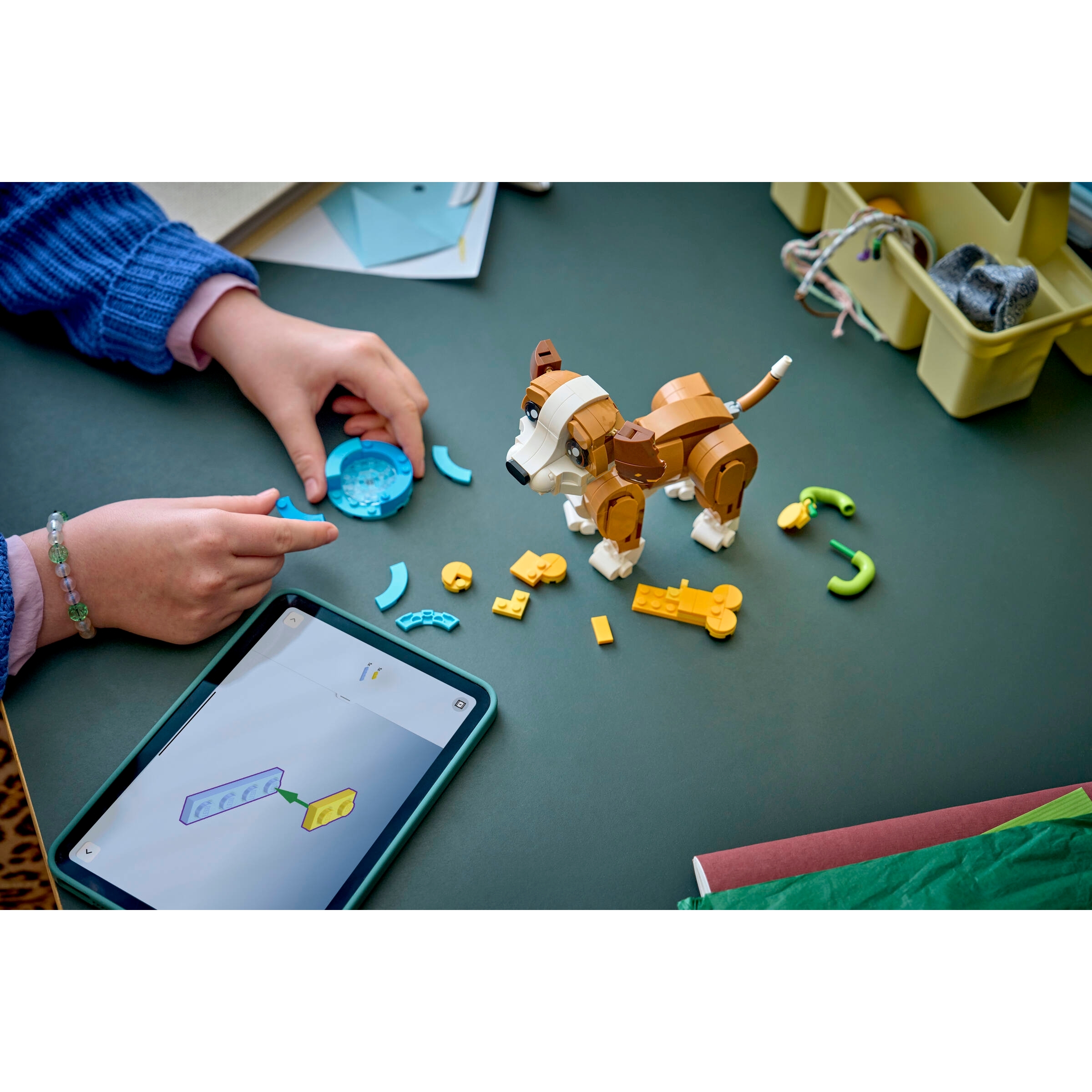 Cute Animals: Playful Puppy Dog - Image 10