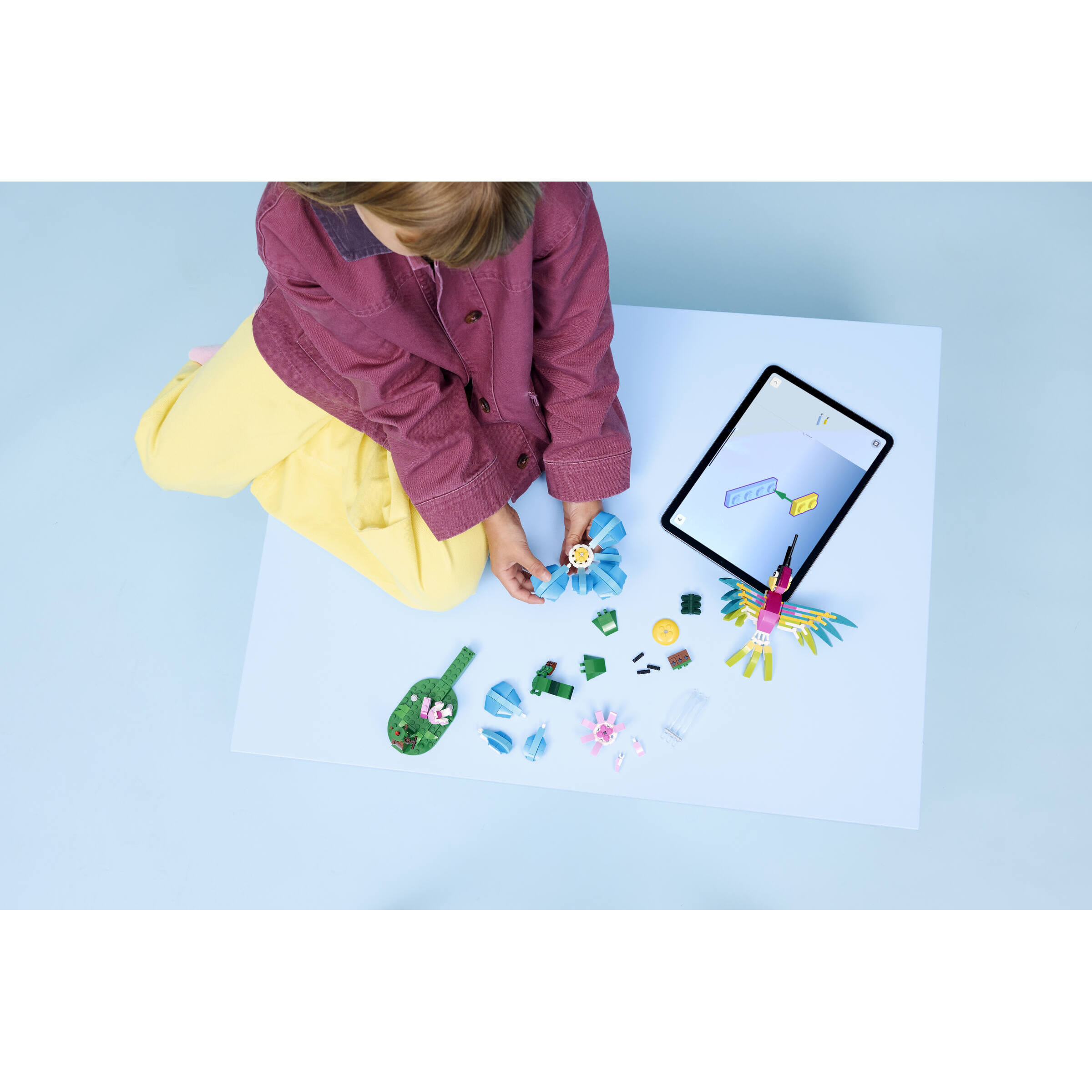 Wild Animals: Colorful Hummingbird - Image 12