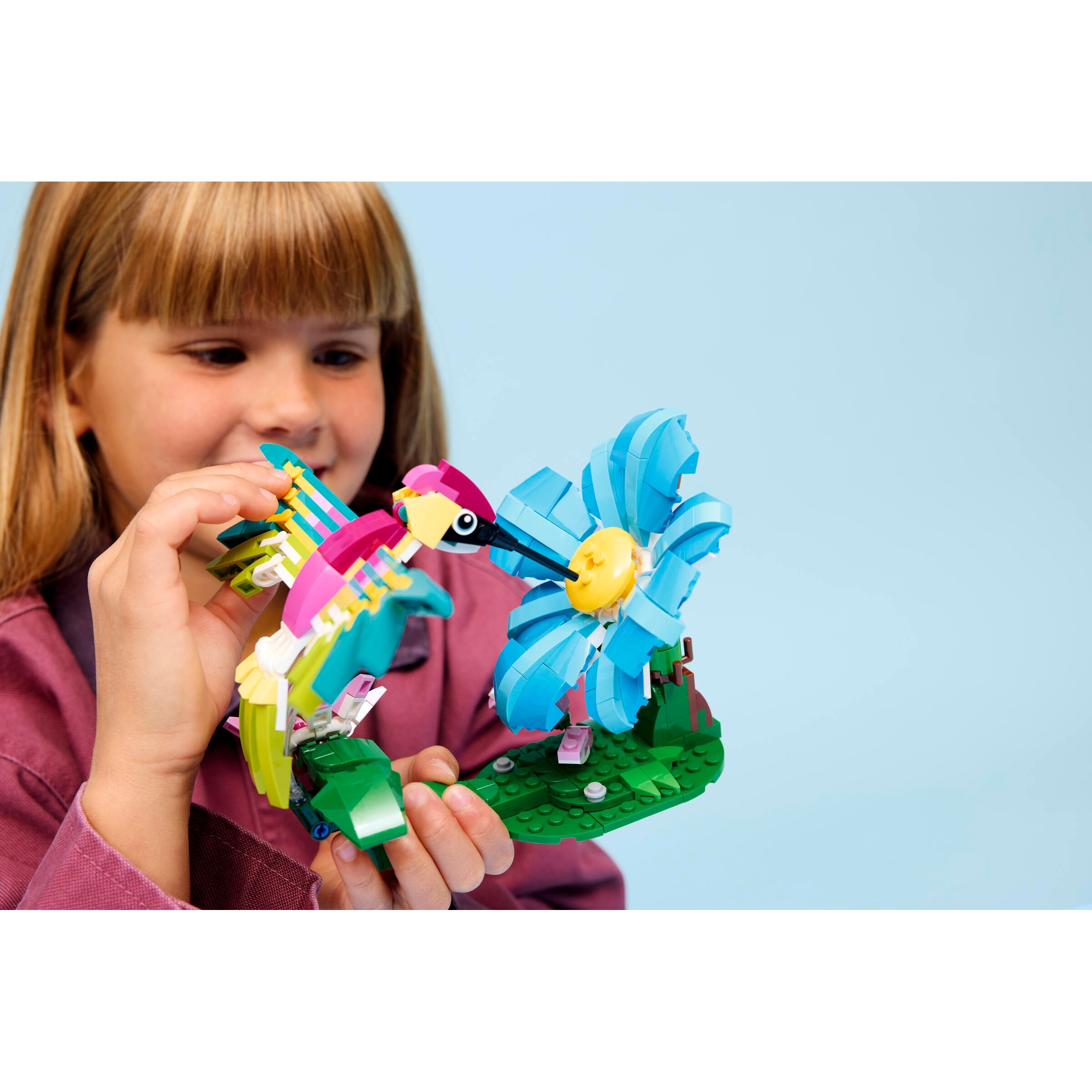 Wild Animals: Colorful Hummingbird - Image 6