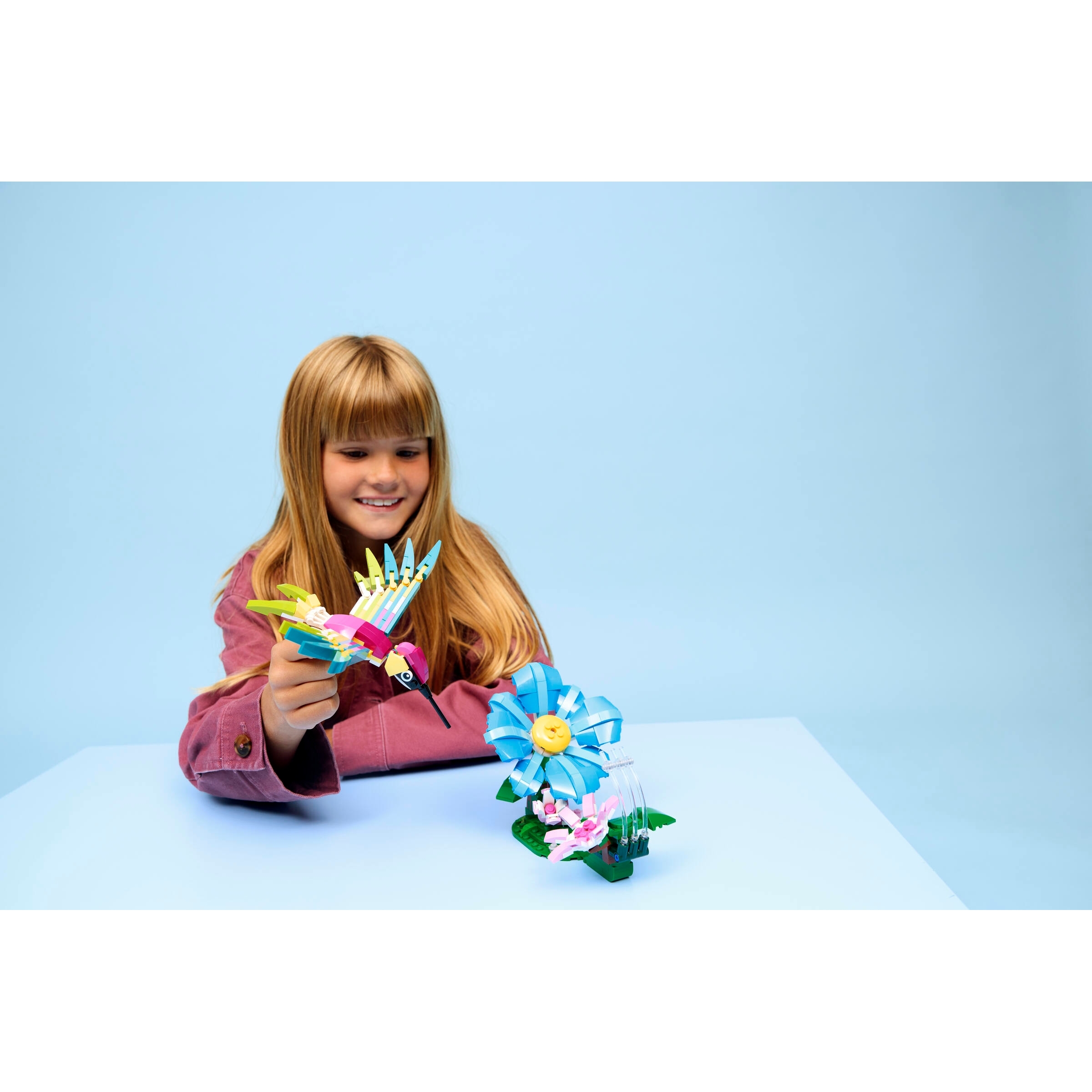 Wild Animals: Colorful Hummingbird - Image 8