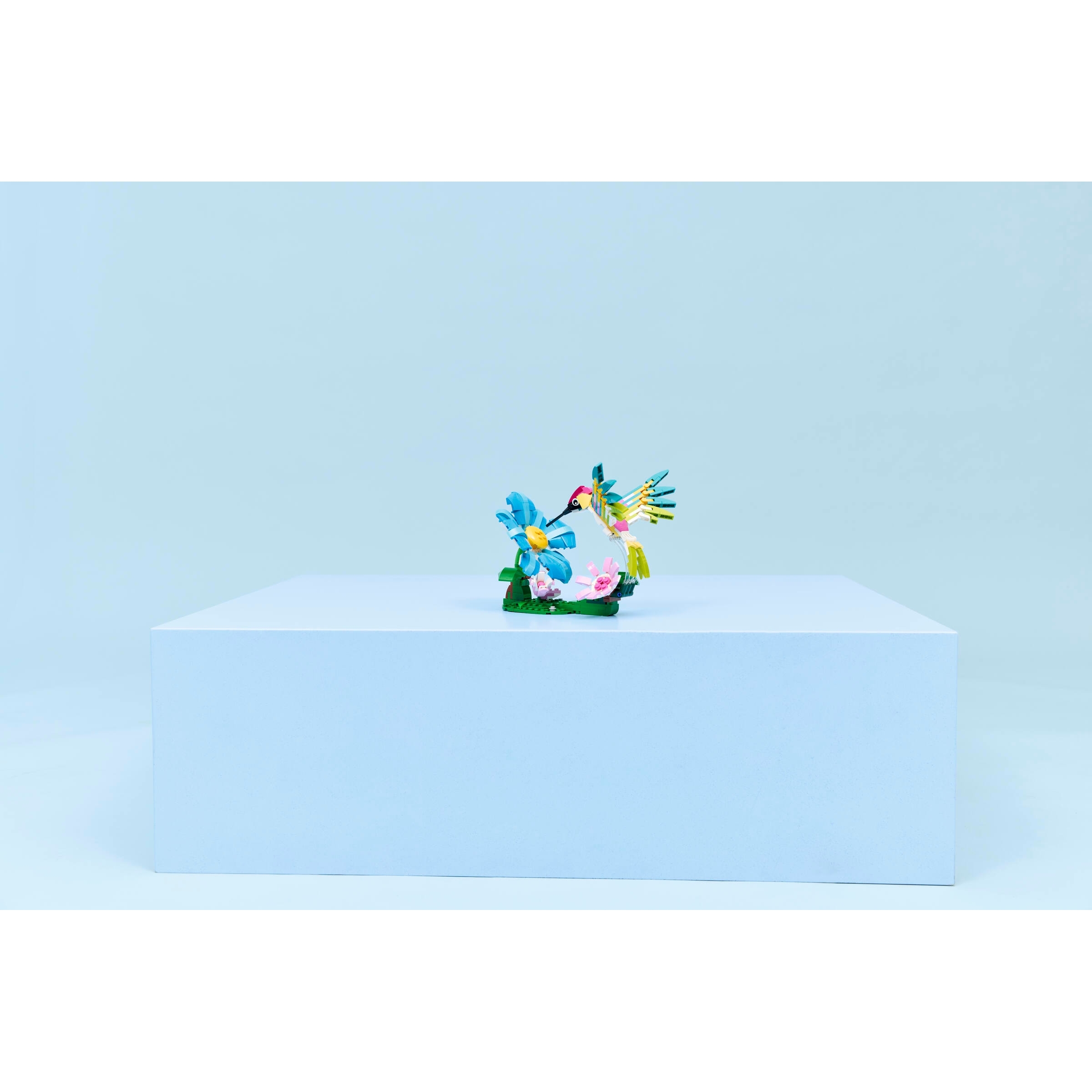 Wild Animals: Colorful Hummingbird - Image 11