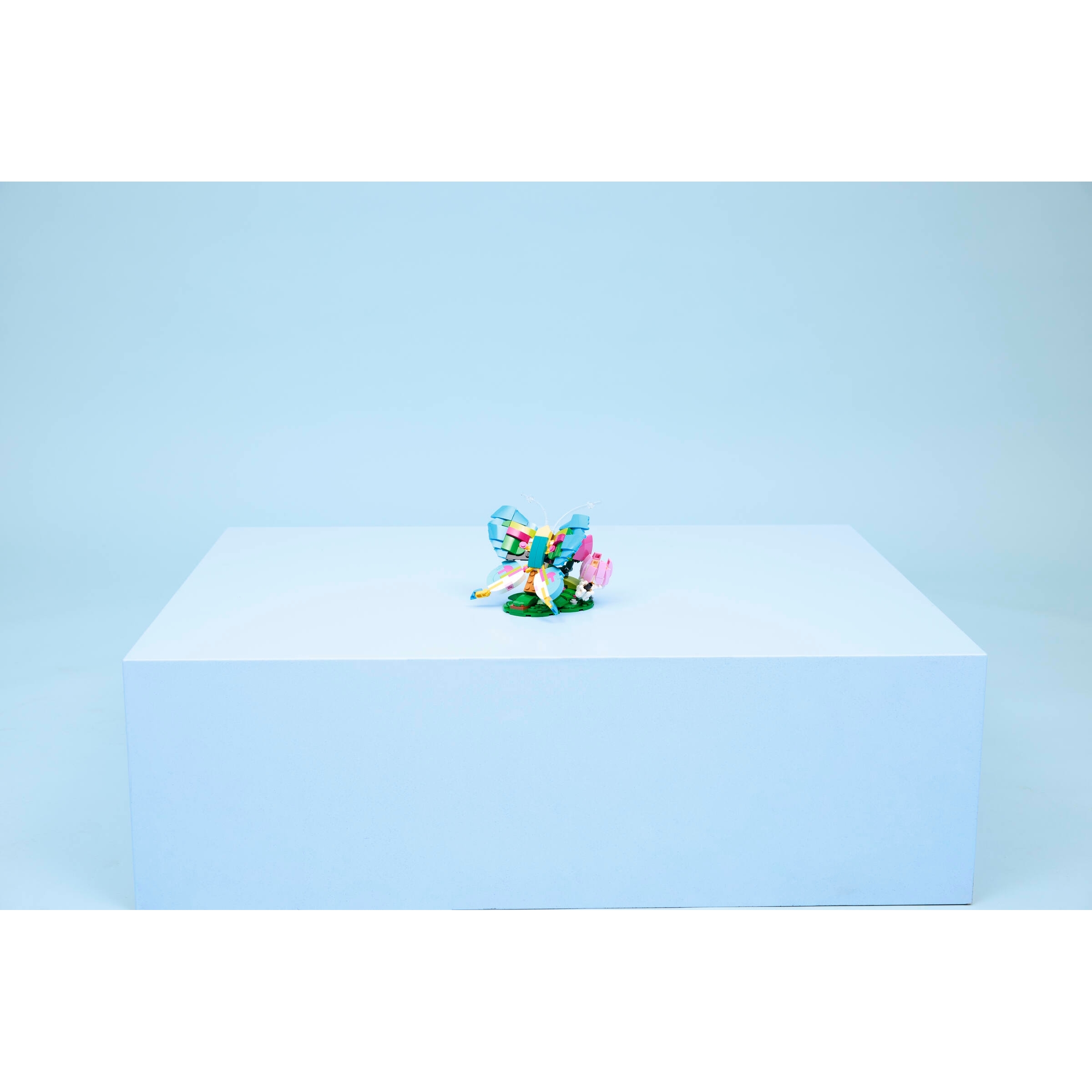 Wild Animals: Colorful Hummingbird - Image 9