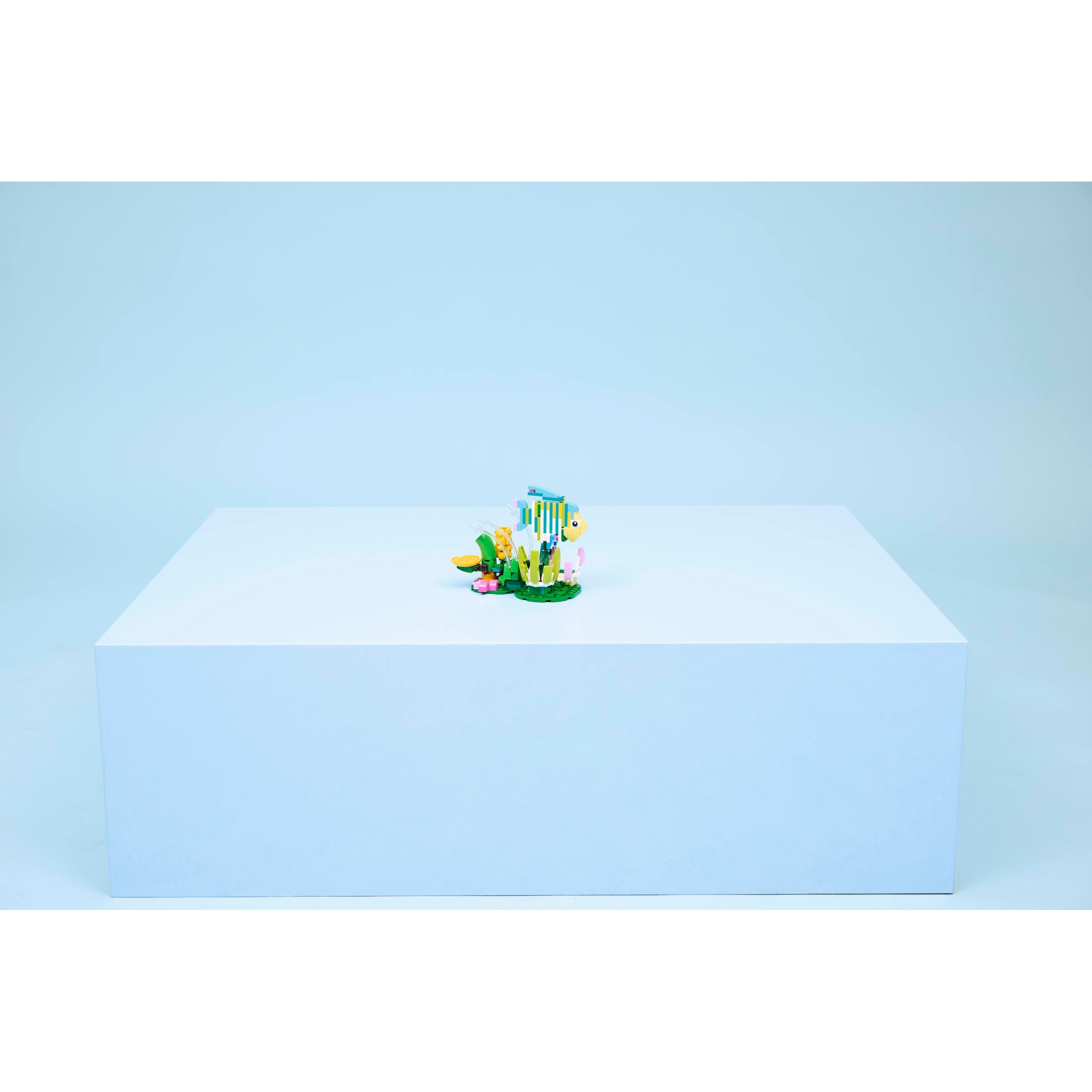 Wild Animals: Colorful Hummingbird - Image 10