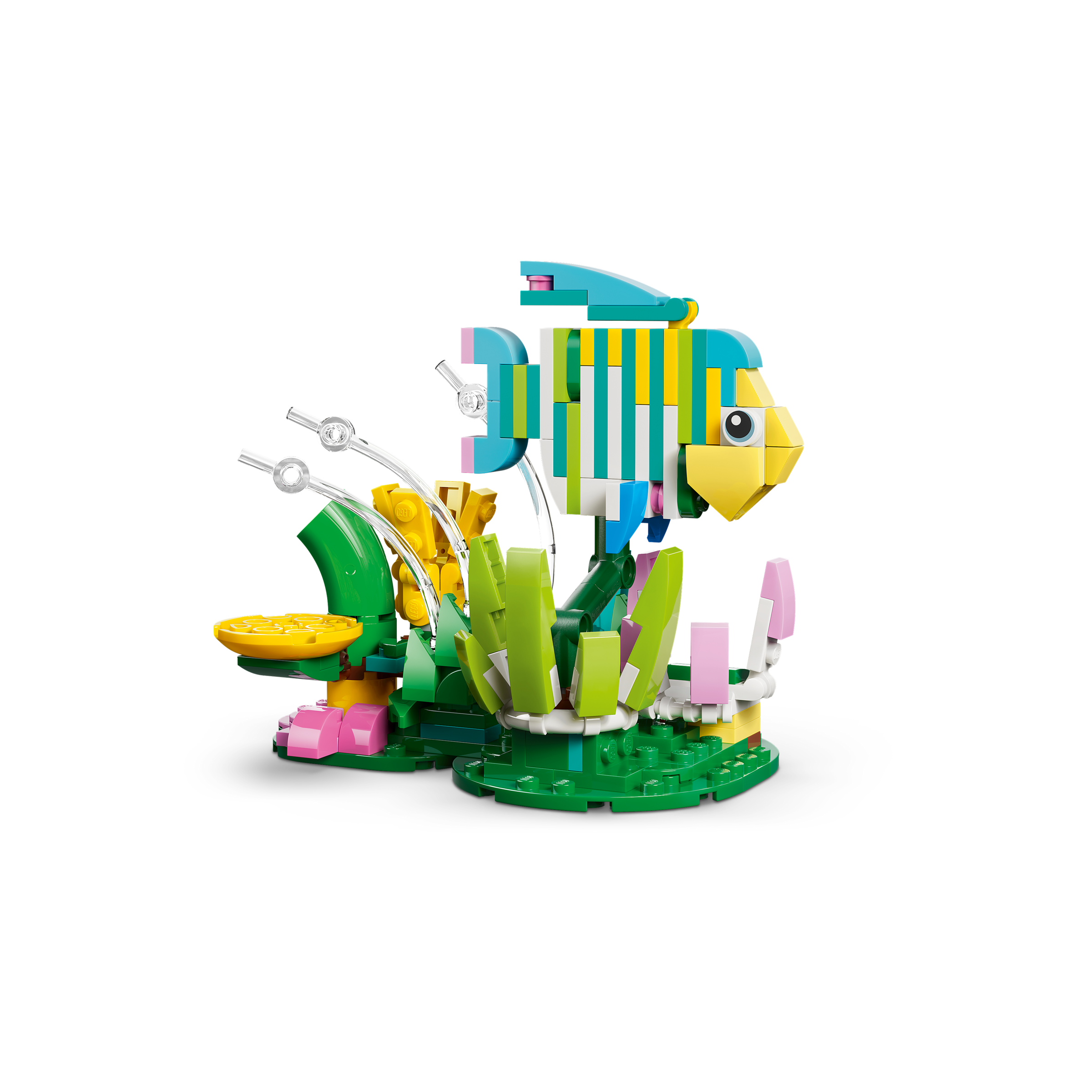 Wild Animals: Colorful Hummingbird - Image 4