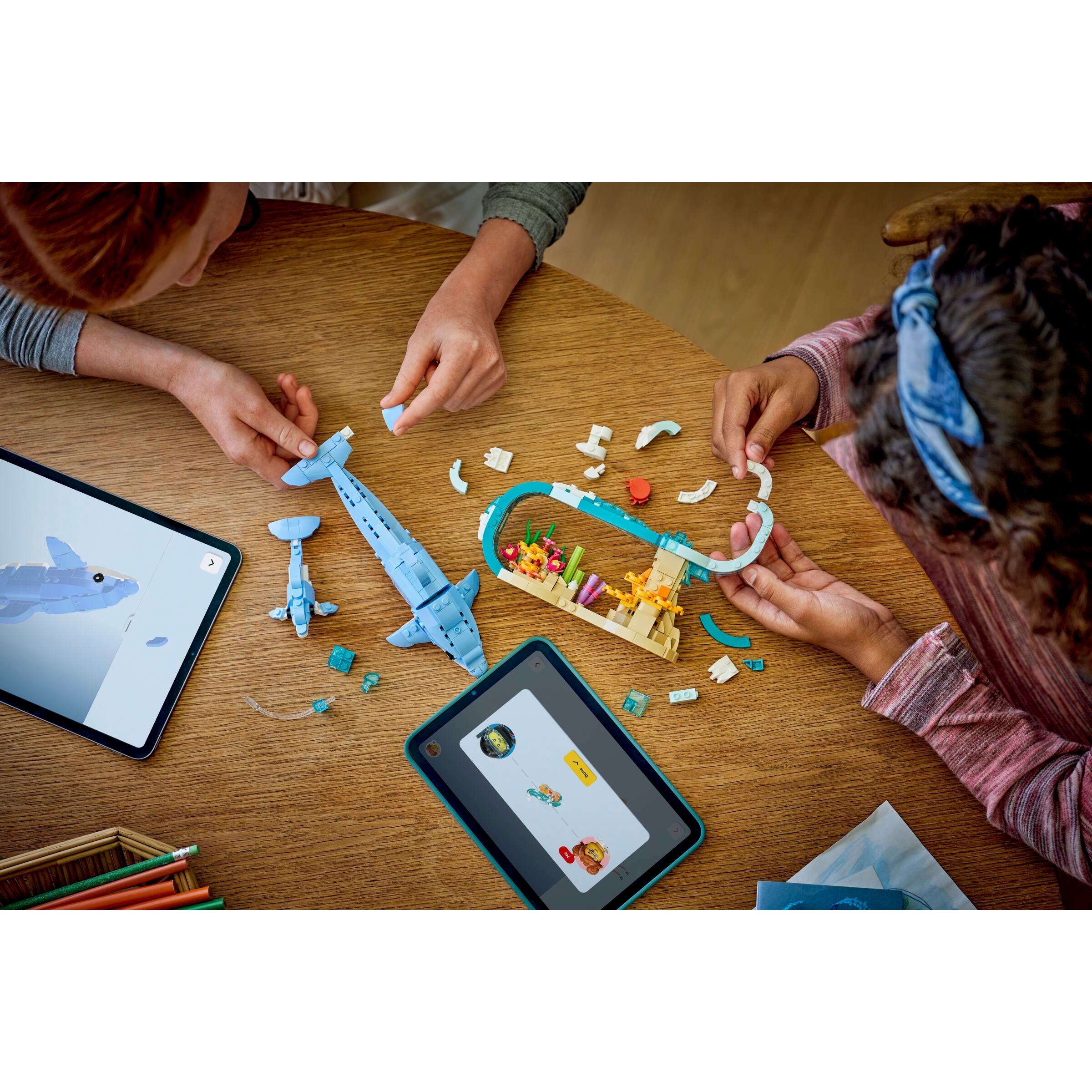 Sea Animals: Beautiful Dolphins - Image 11