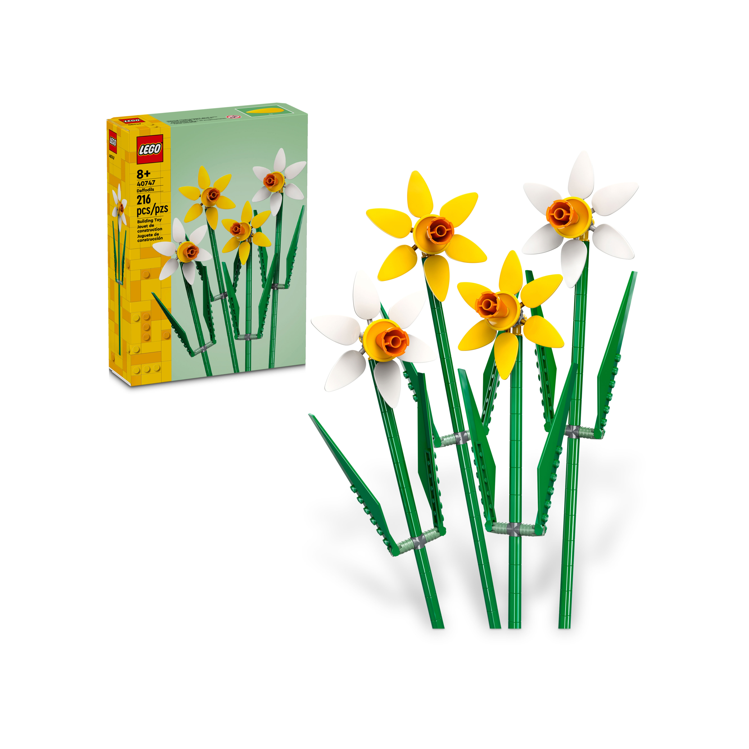 Daffodils - Image 2
