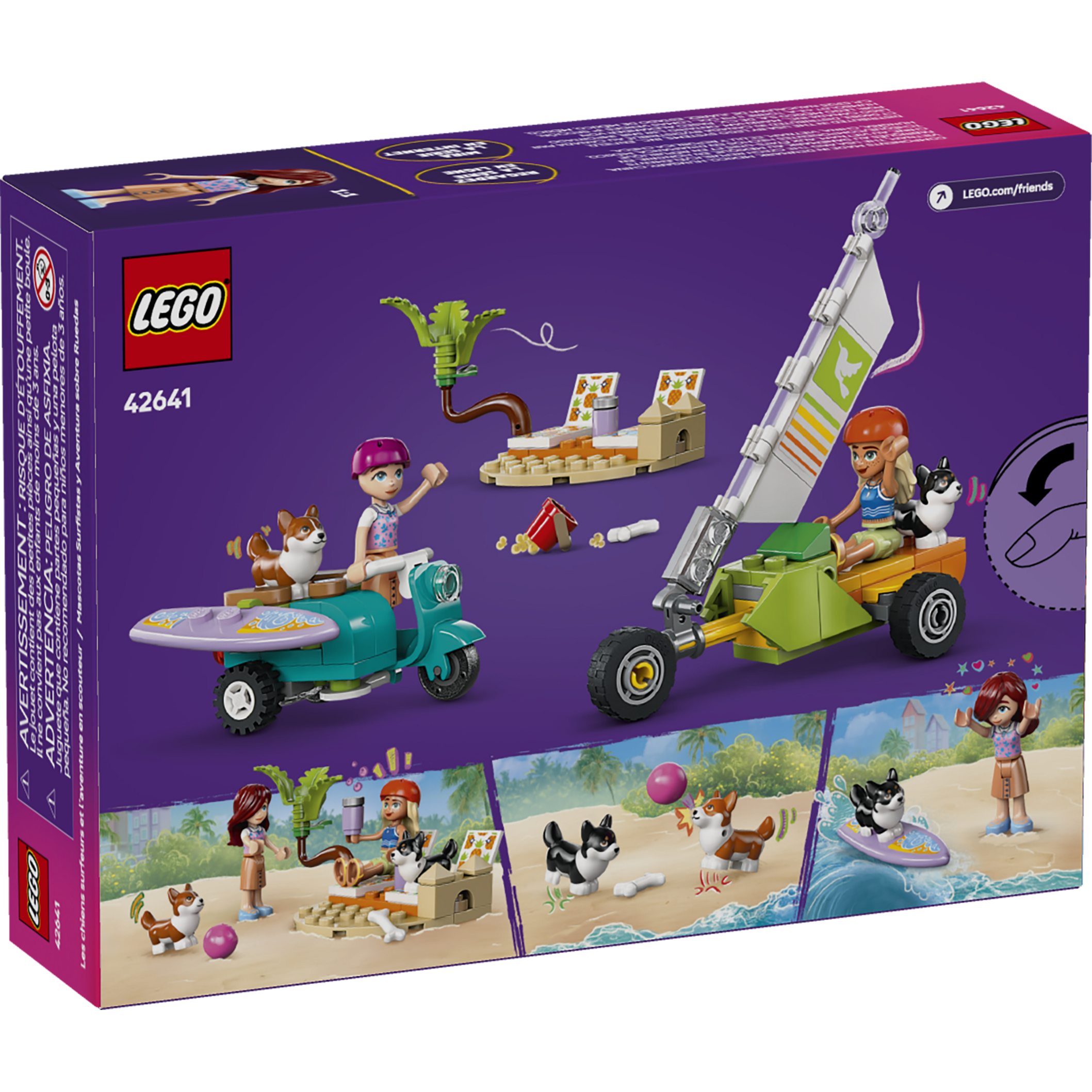 Surfing Dogs And Scooter Adventure - Image 10