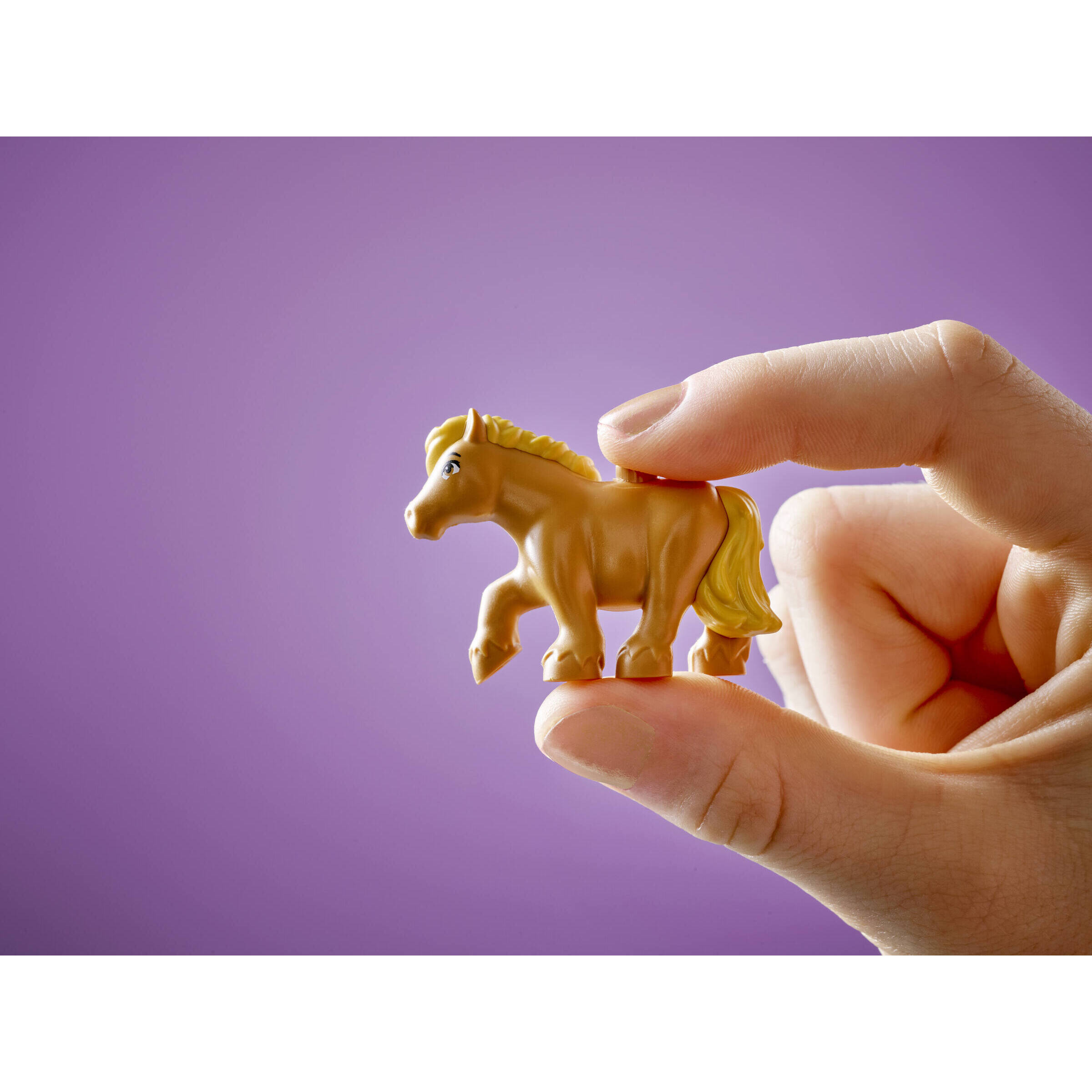 Pony Ranch & Stable - Image 10