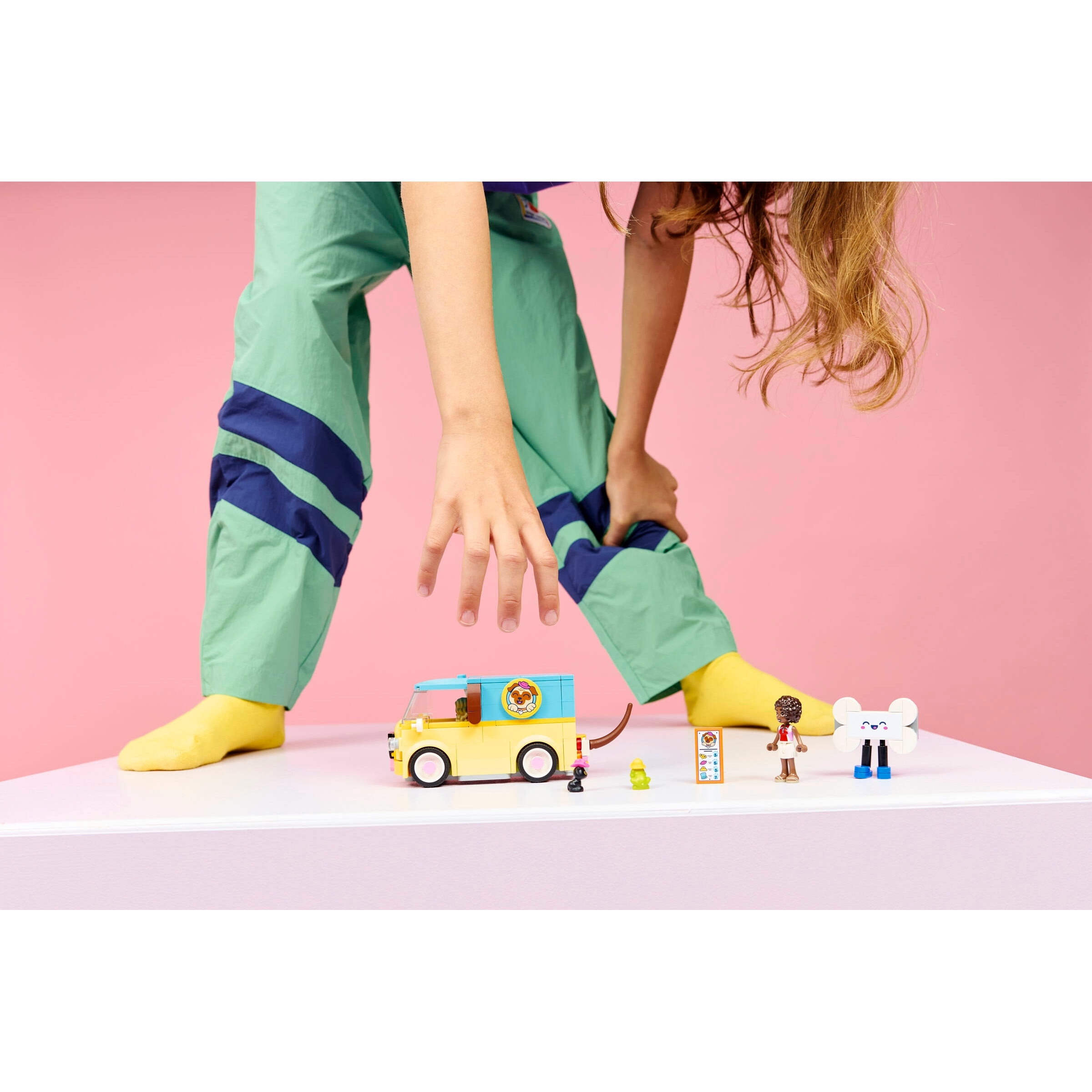 Pet Accessories Van - Image 9