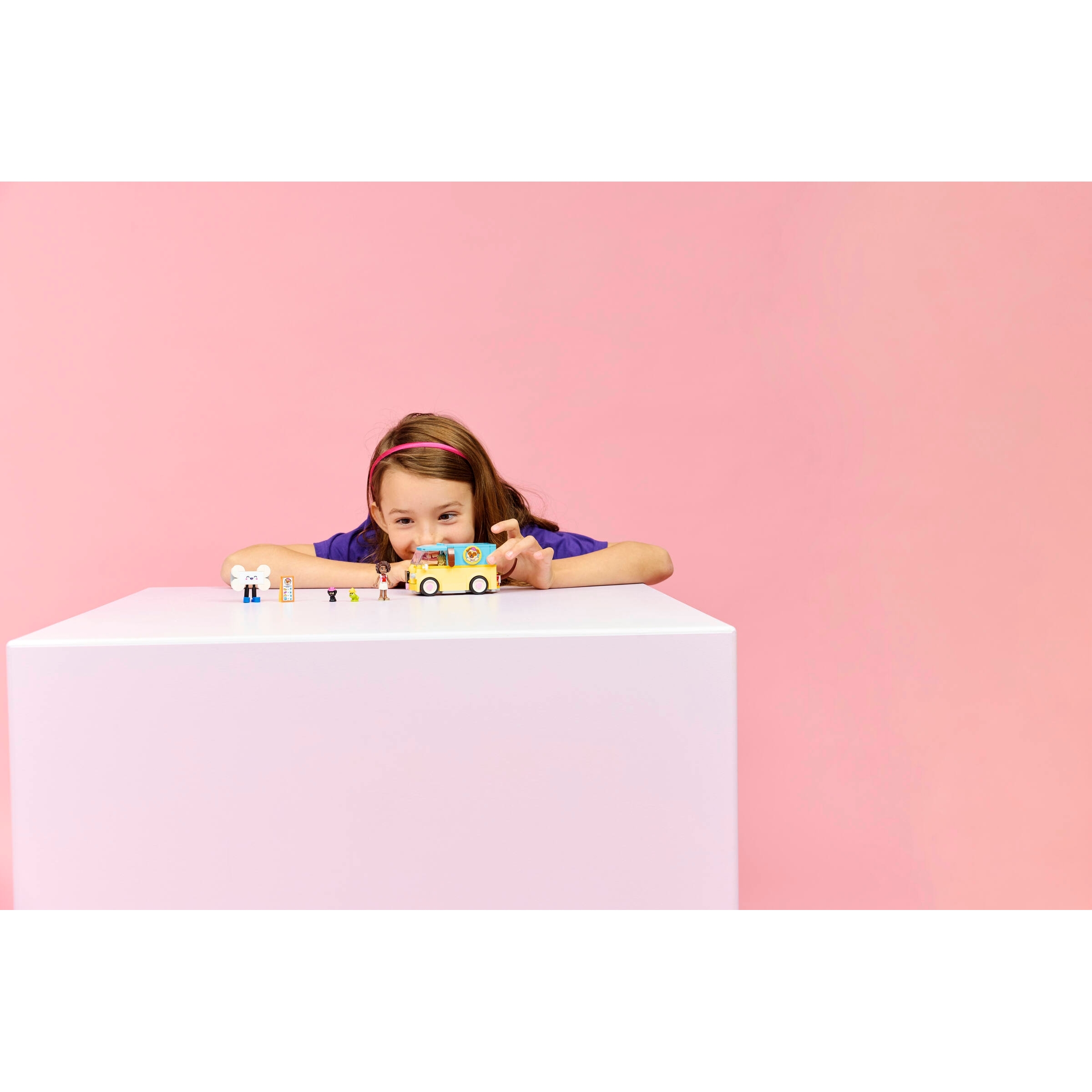 Pet Accessories Van - Image 7