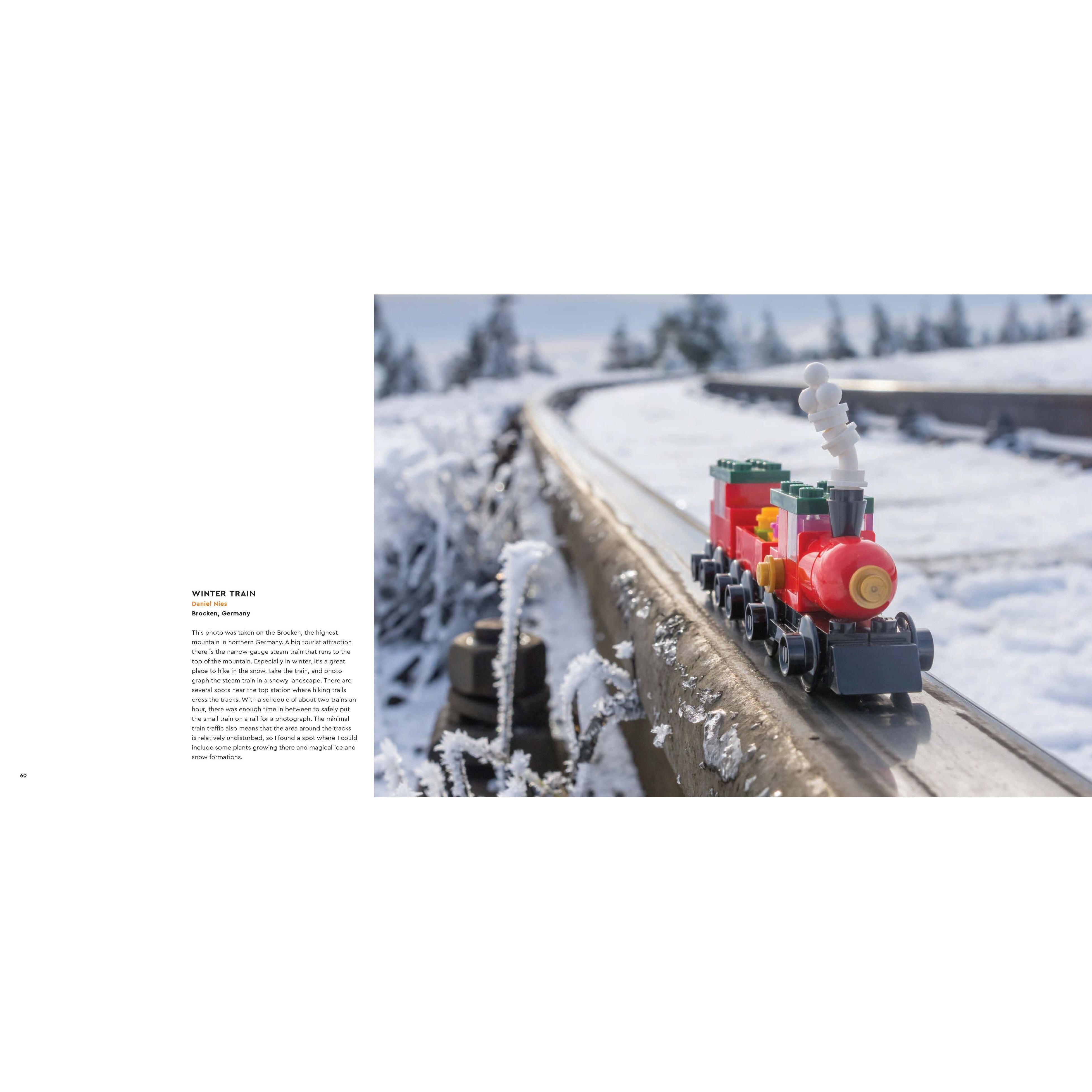 In Focus Book - Image 3