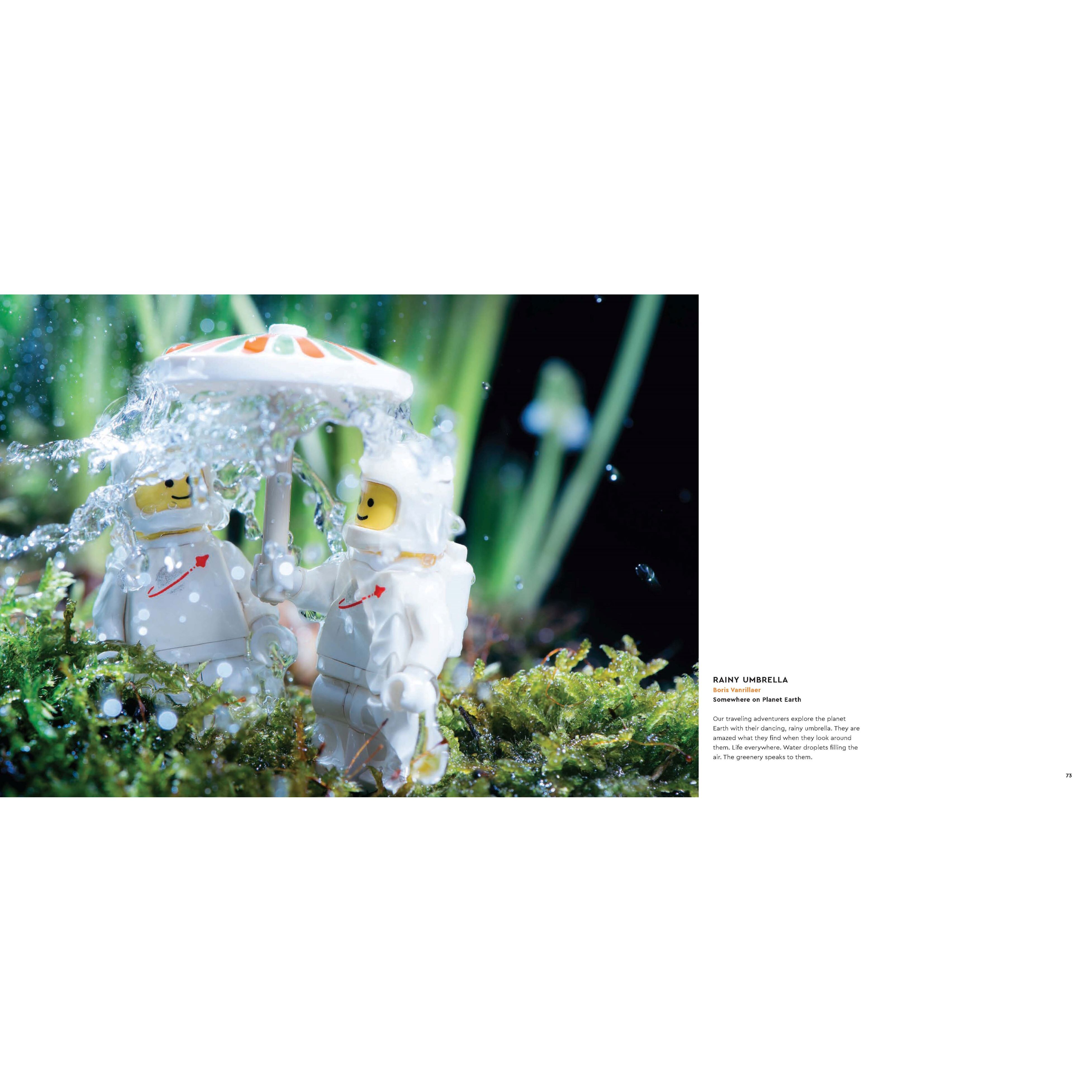 In Focus Book - Image 4