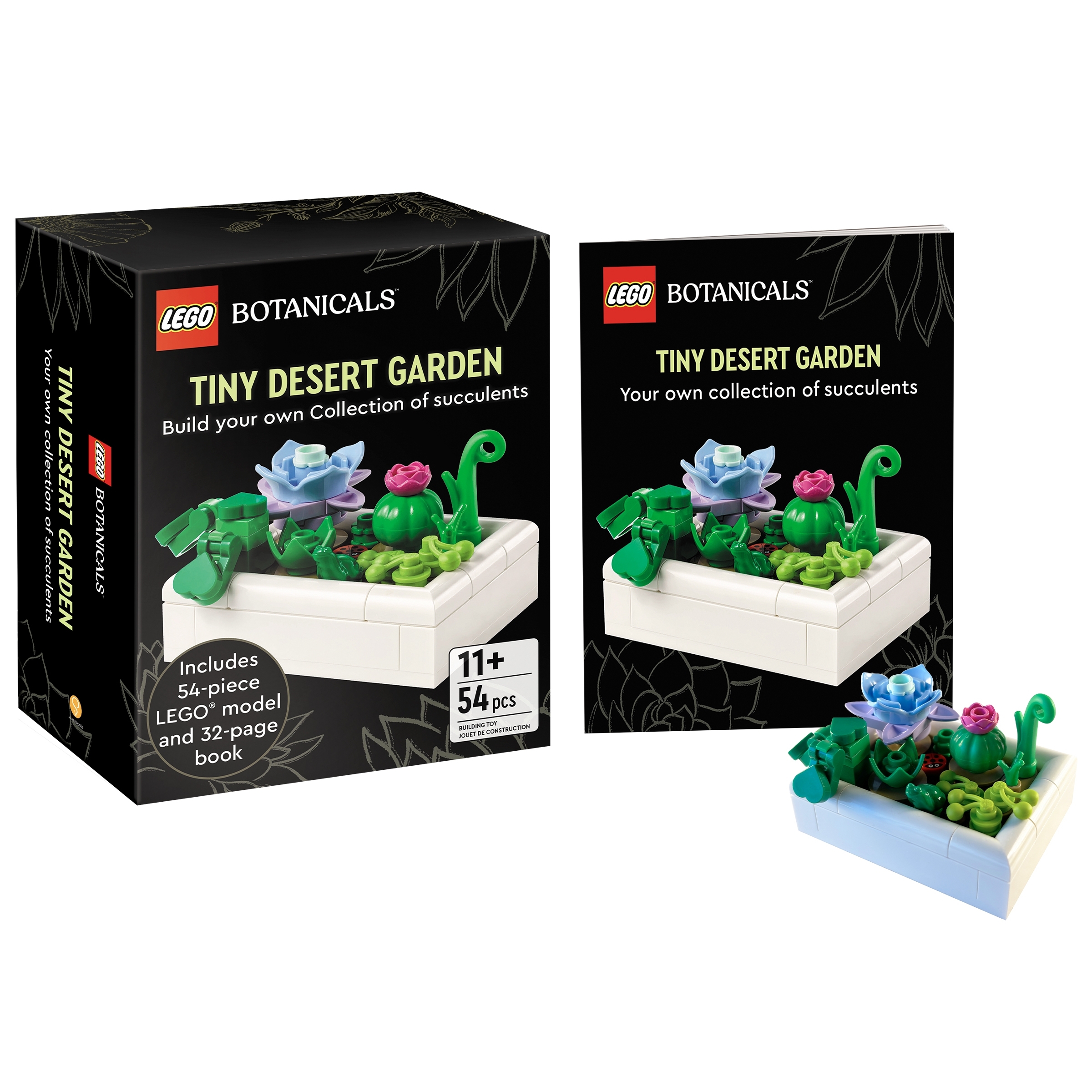 Tiny Desert Garden - Image 2