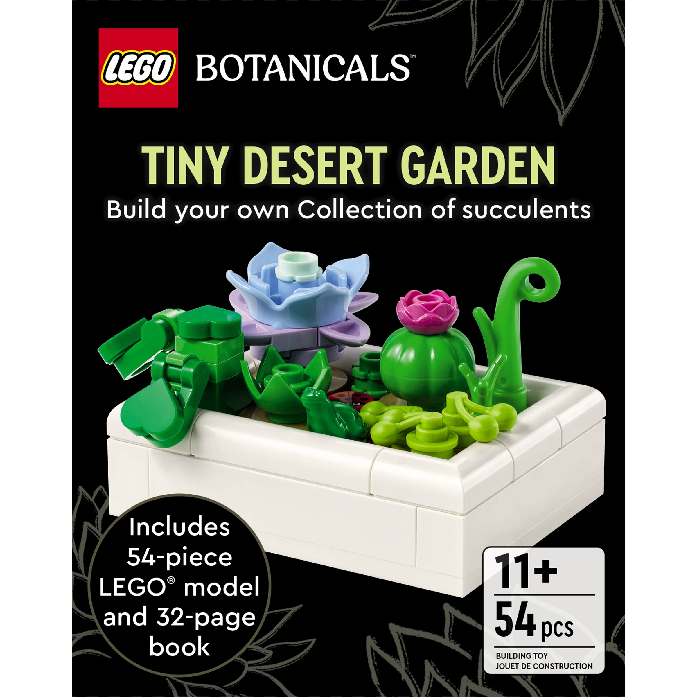 Tiny Desert Garden - Image 5