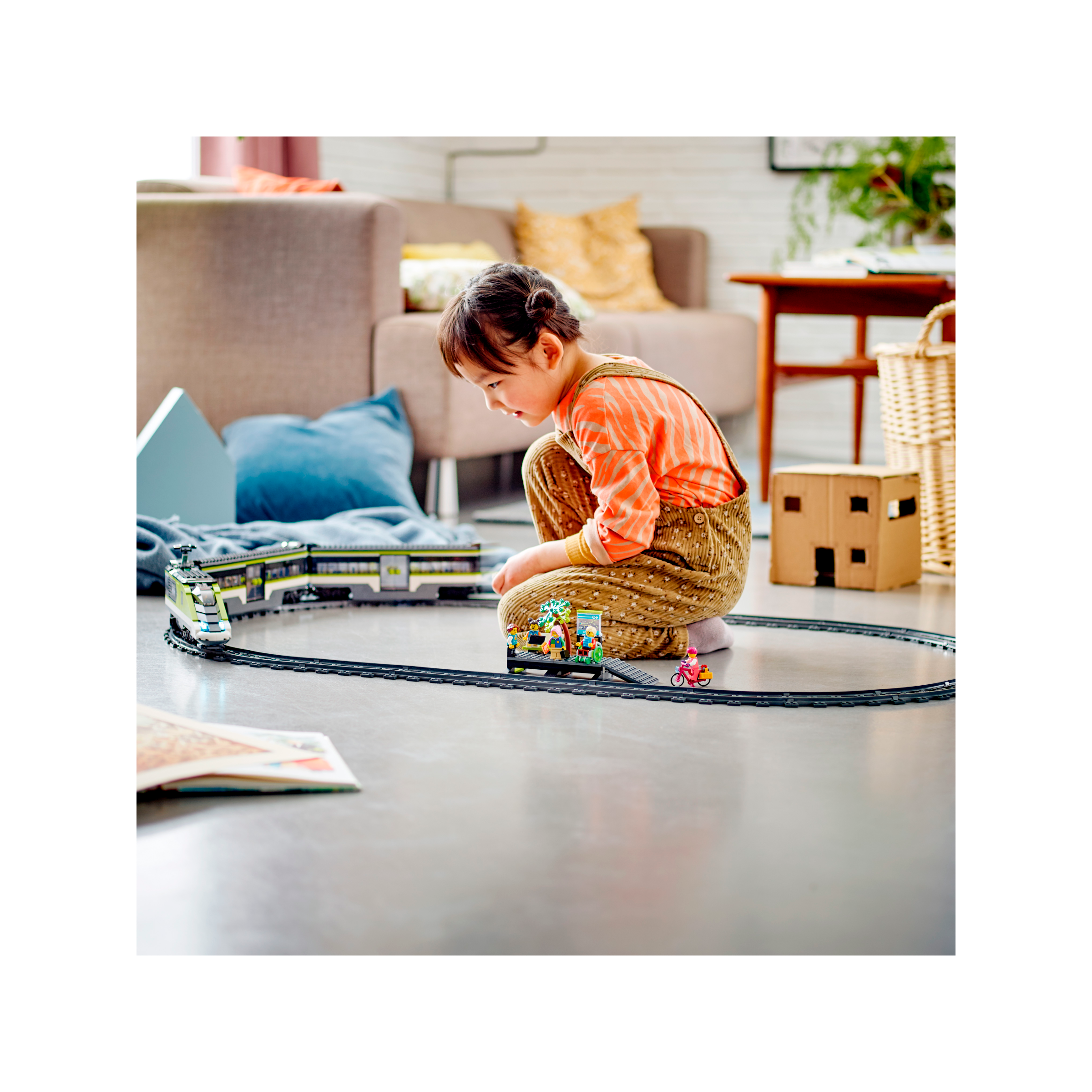 Express Passenger Train - Image 14