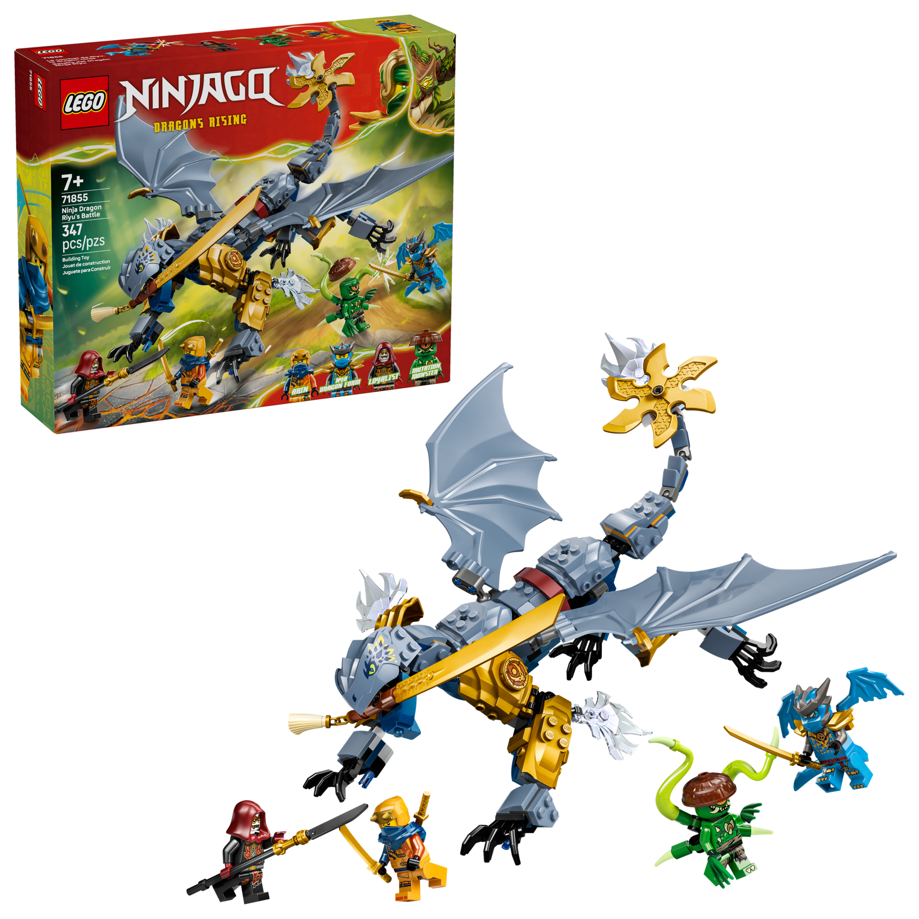 Ninja Dragon Riyu's Battle - Image 2