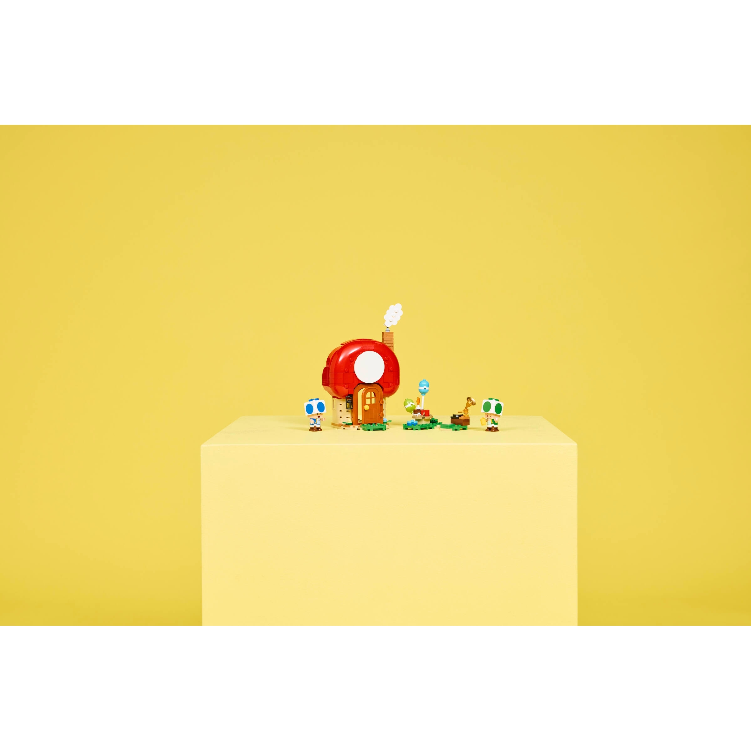 Party At Toad's House - Image 8