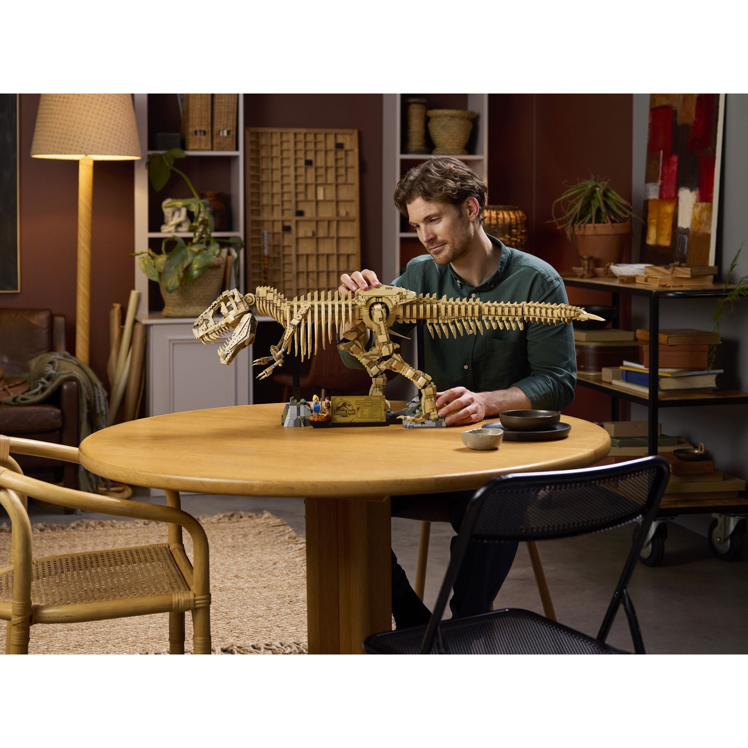 Dinosaur Fossils: Tyrannosaurus Rex - Image 3